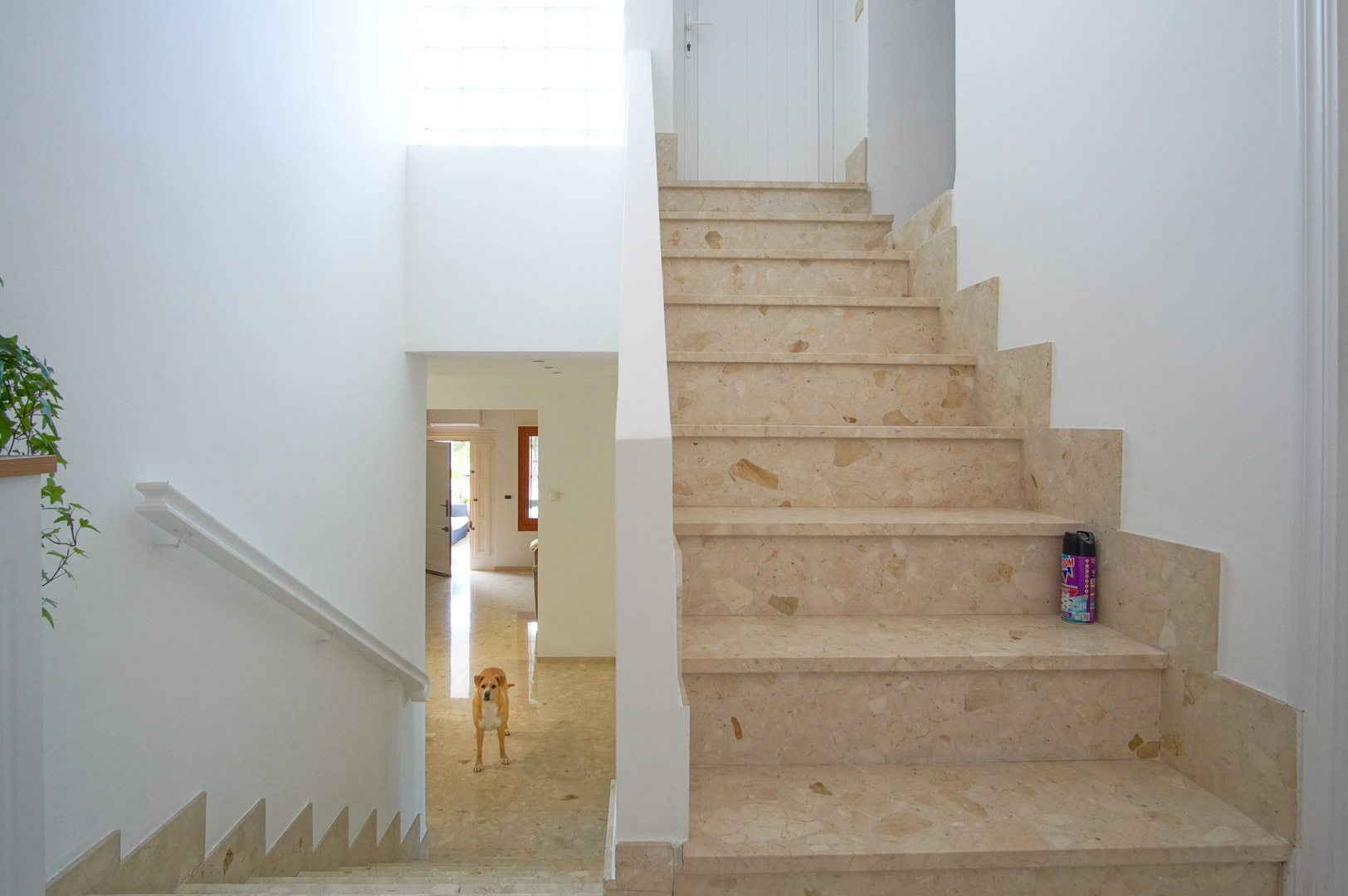 Escalier intérieur en marbre crème avec plinthes assorties, baigné de lumière naturelle grâce à une paroi en briques de verre et des finitions blanches épurées.