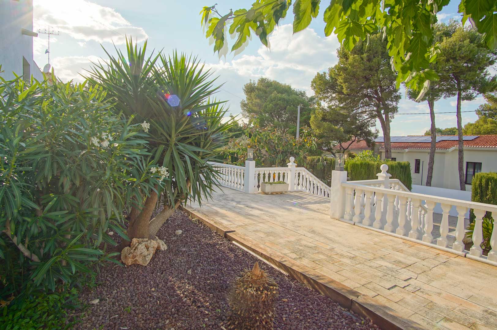 Terrasse extérieure avec balustrade blanche et pavés en pierre, entourée d'un jardin méditerranéen composé de yuccas et de pins matures.