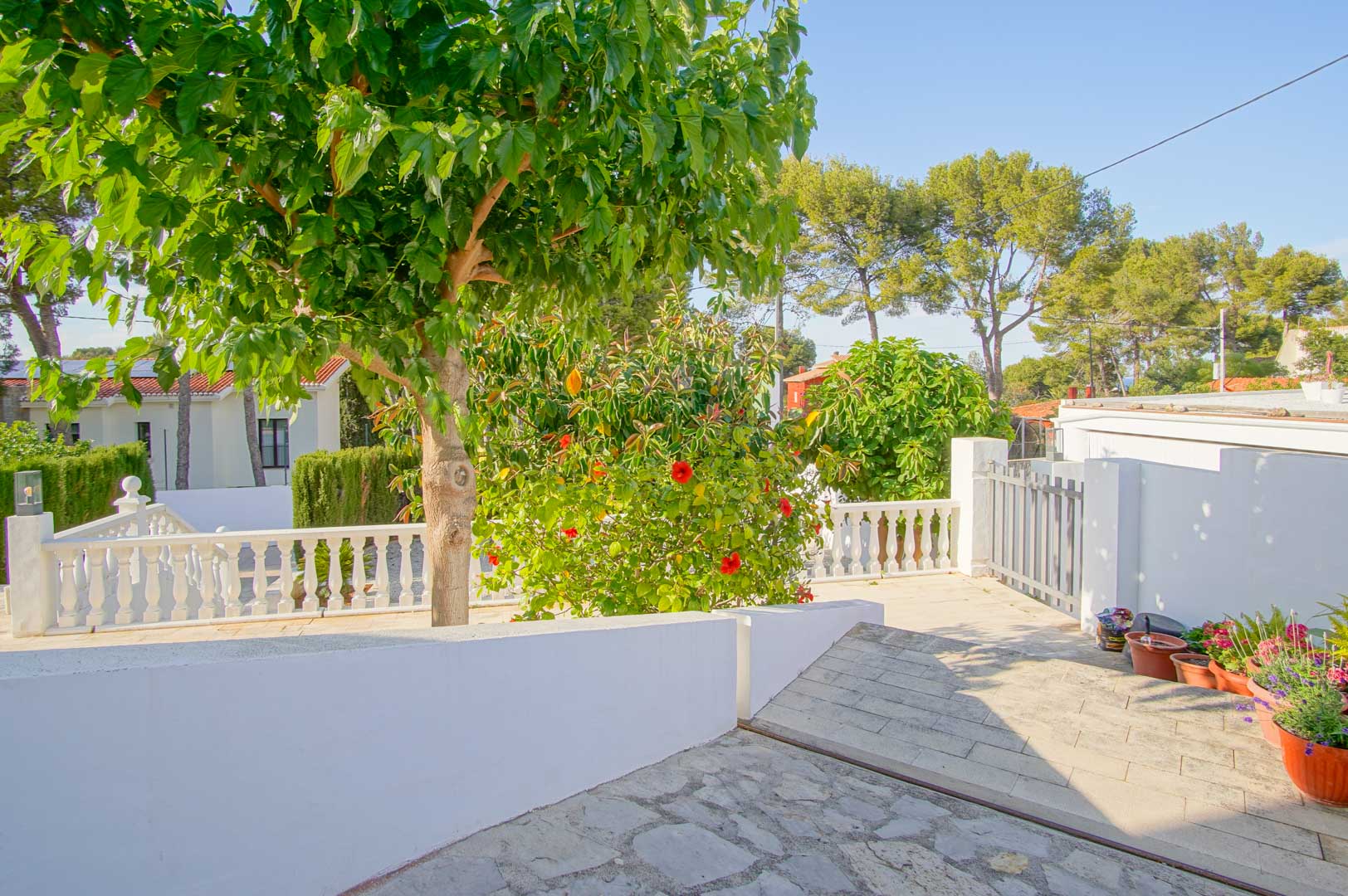 Terrasse extérieure avec balustrade blanche, revêtement en pierre et végétation méditerranéenne luxuriante, incluant un hibiscus en fleurs et des arbres matures.