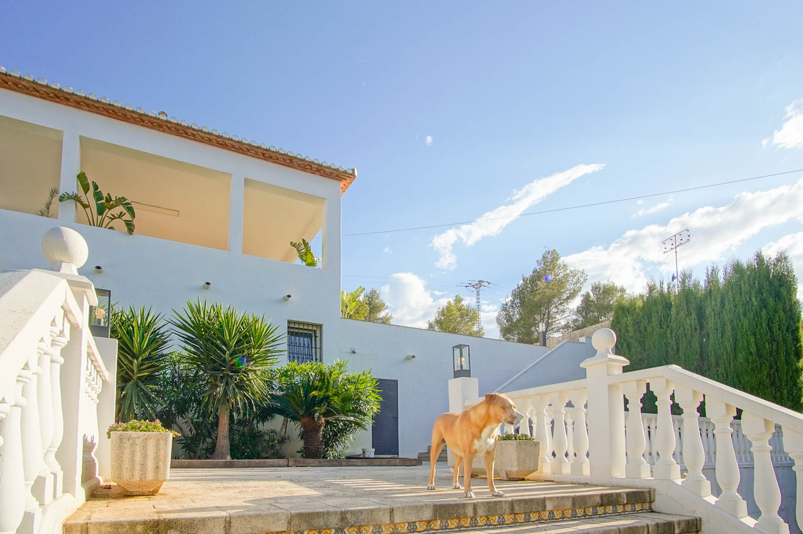 Vue extérieure de la villa avec balustrades blanches, terrasse en pierre et végétation méditerranéenne comprenant yuccas et palmiers sous le soleil de Dénia.