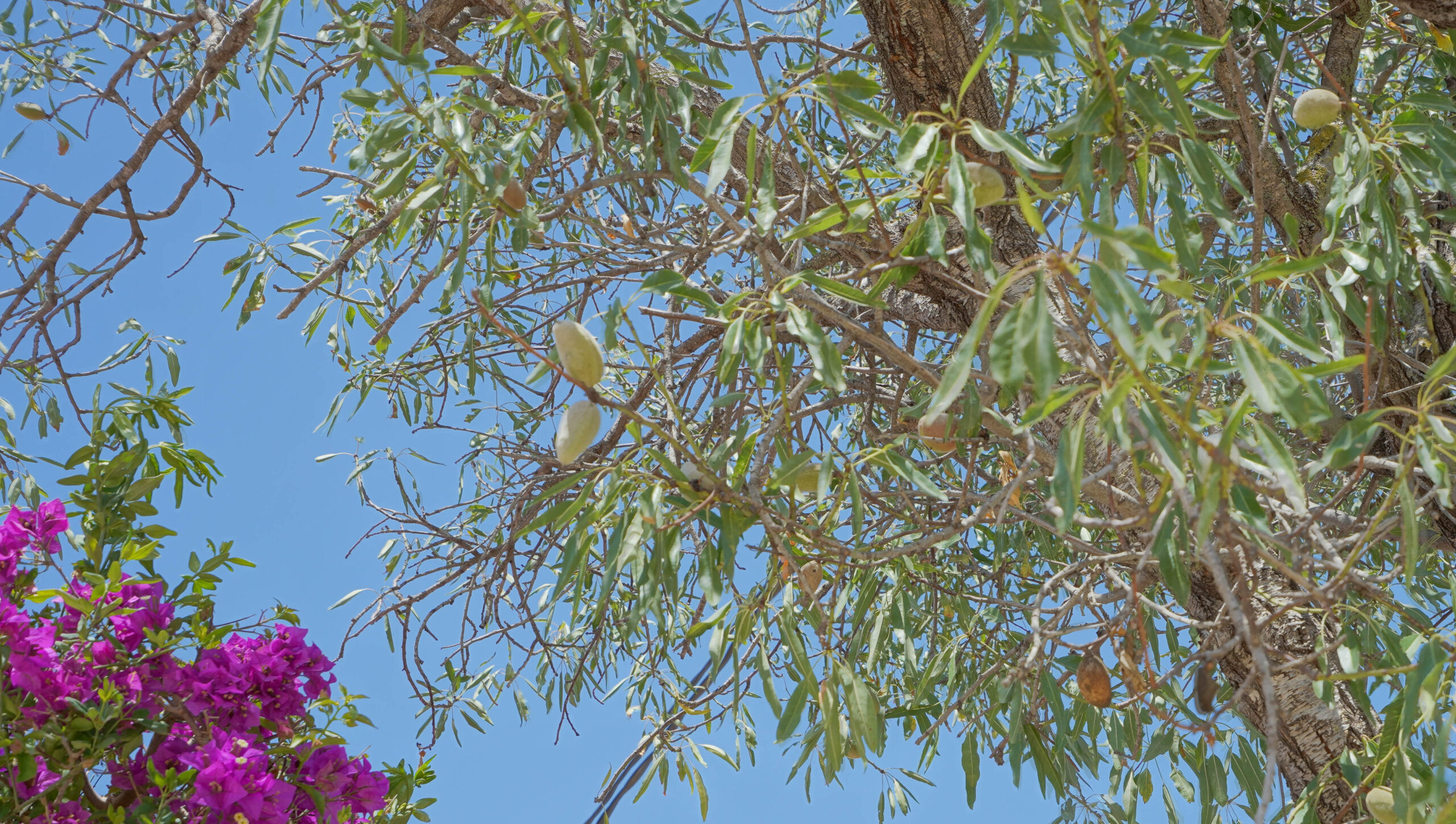 Villa traditionnelle à Jávea, Tarraula avec piscine privée