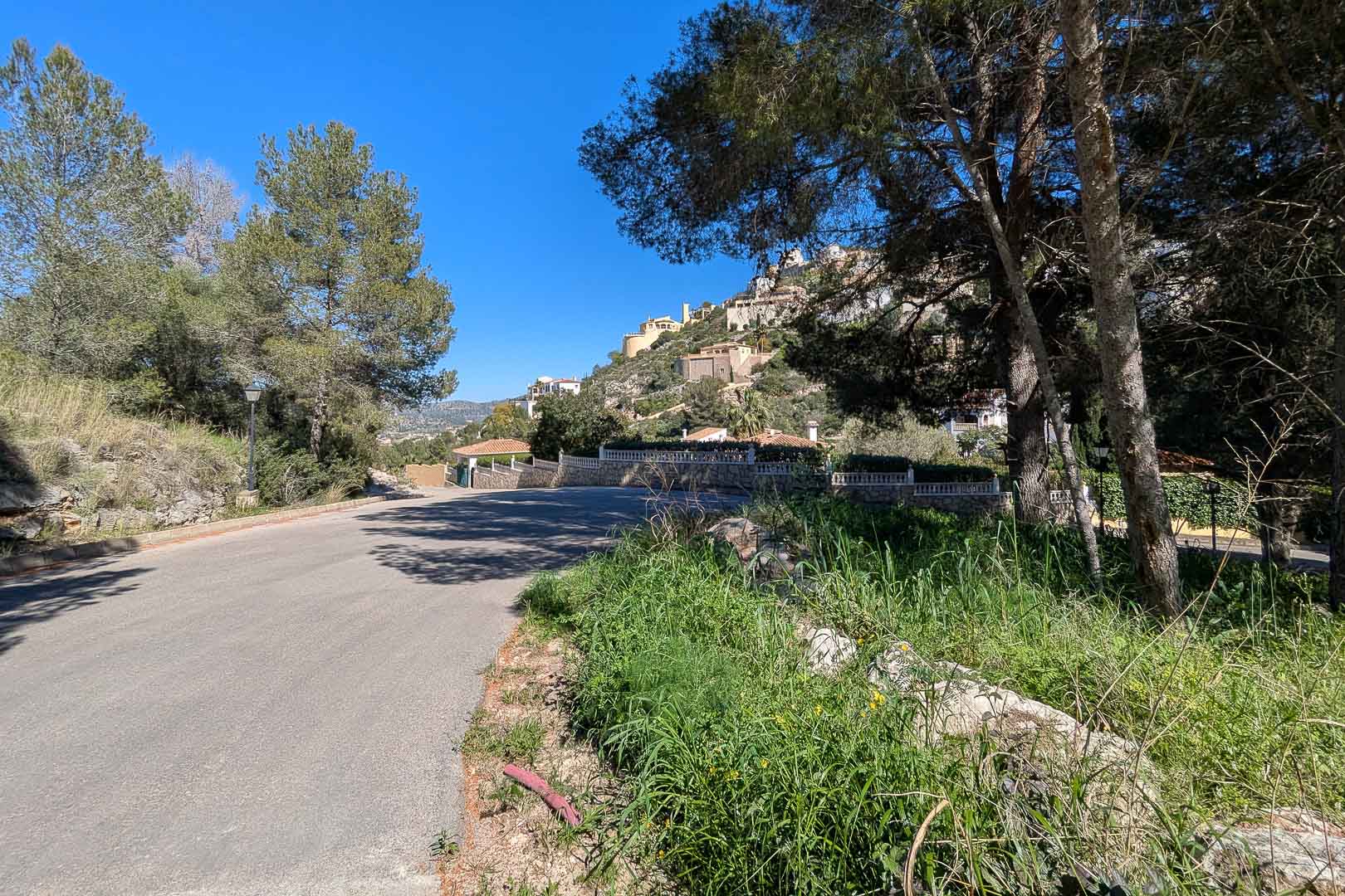 Vue de la route d'accès goudronnée dans le quartier de Monte Solana, entourée de pins et d'une végétation sauvage typique de la région.