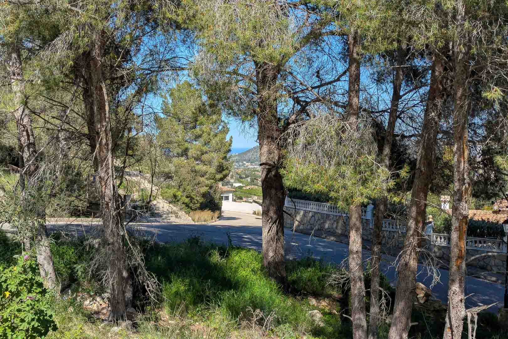 Vue panoramique depuis le terrain à travers des pins matures, révélant l'environnement naturel et l'accès pavé avec des vues lointaines sur la mer.