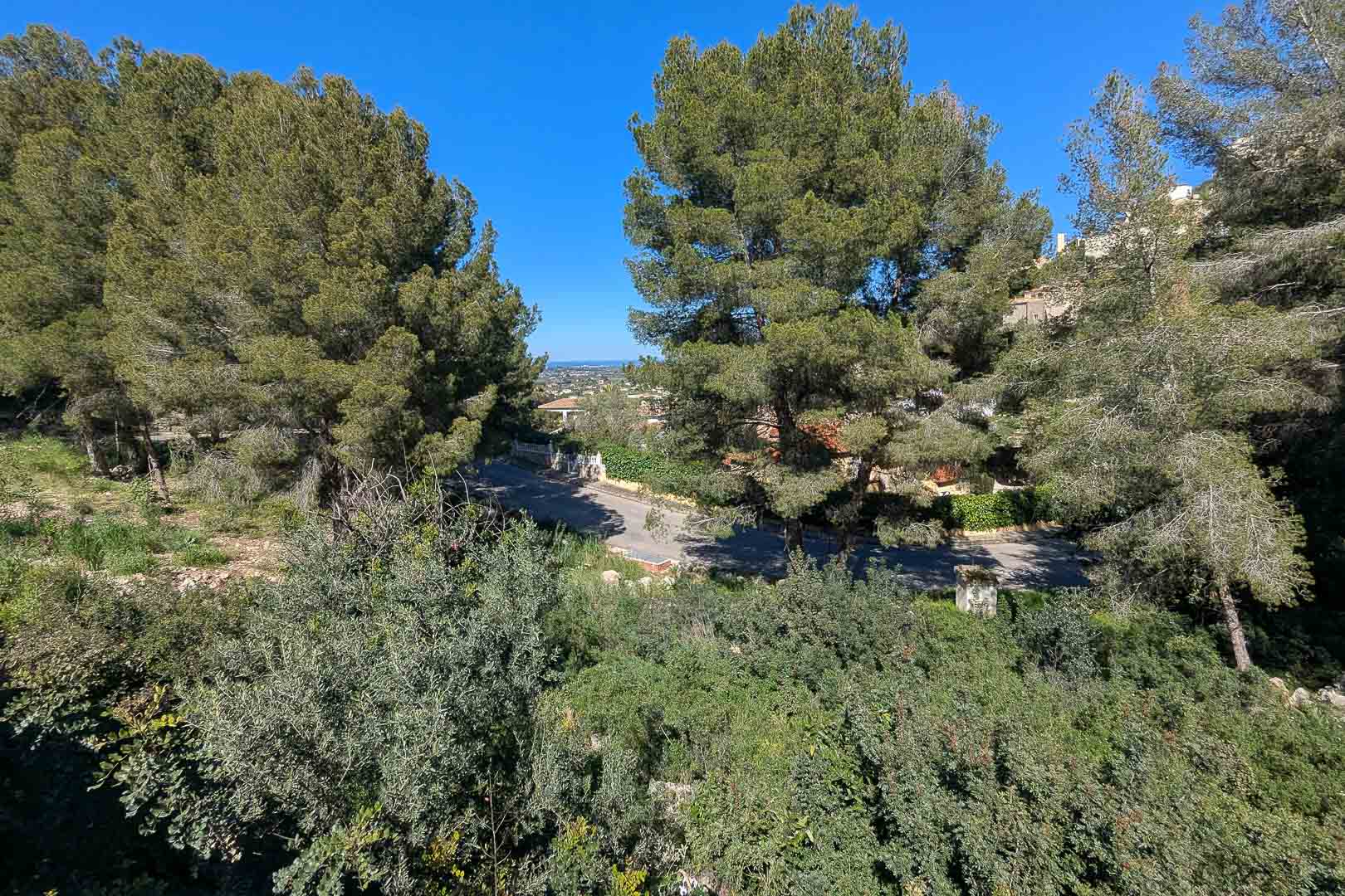 Vue surélevée depuis le terrain montrant l'environnement naturel boisé, la route d'accès et un panorama sur la vallée avec la mer à l'horizon.