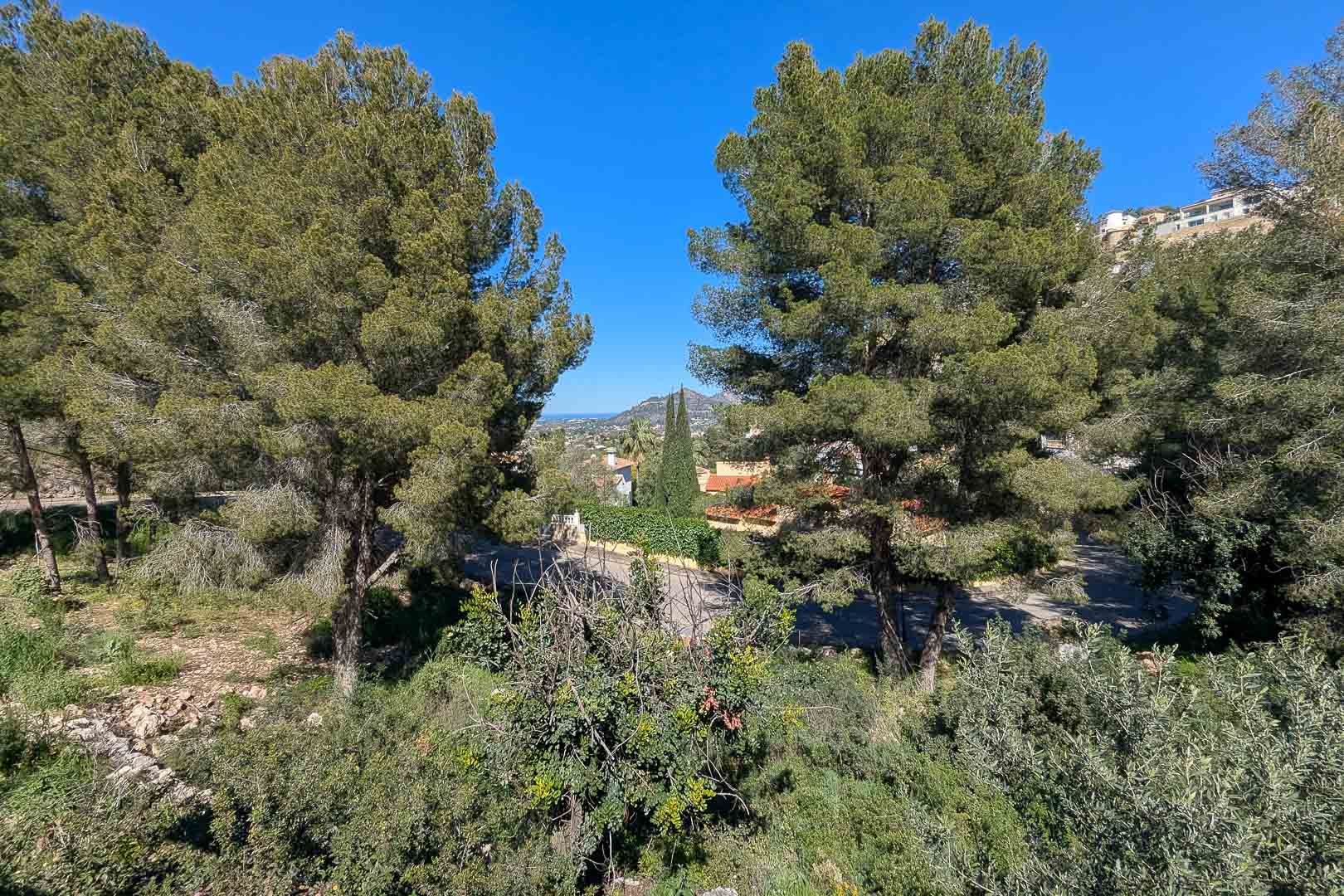 Vues panoramiques depuis le terrain à Monte Solana, encadrées par des pins matures et une végétation méditerranéenne avec la vallée et les montagnes au loin.