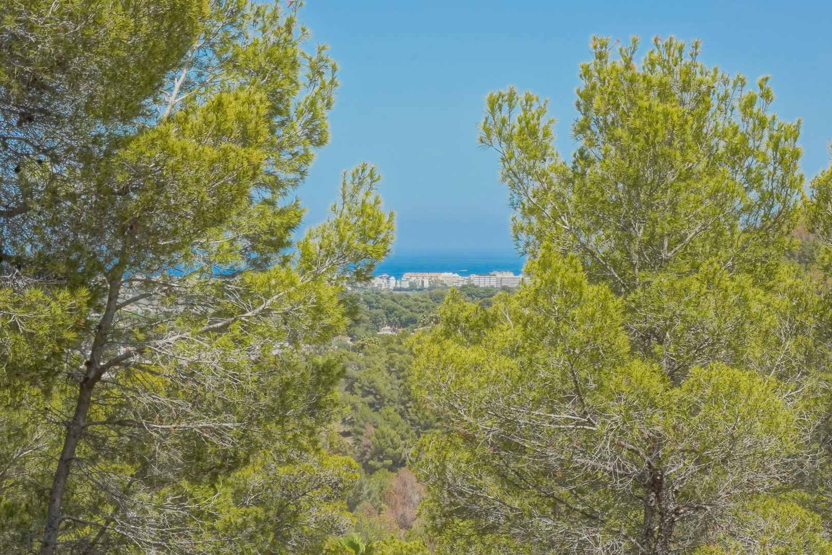 Vue panoramique sur la mer Méditerranée et la ville côtière, encadrée par des pins matures depuis la position surélevée du terrain.
