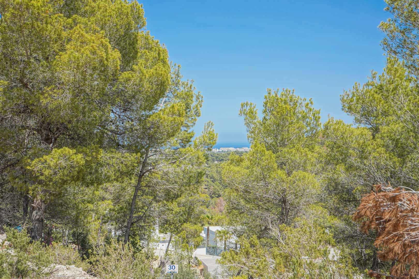 Vue surélevée depuis le terrain à travers les pins parasols, illustrant la topographie en pente et un aperçu lointain de la mer Méditerranée.