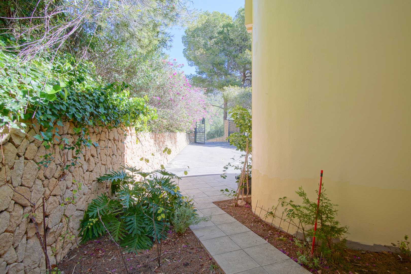 Allée latérale pavée bordée d'un mur en pierre sèche et de végétation, longeant la façade jaune incurvée de la villa vers le portail d'entrée.