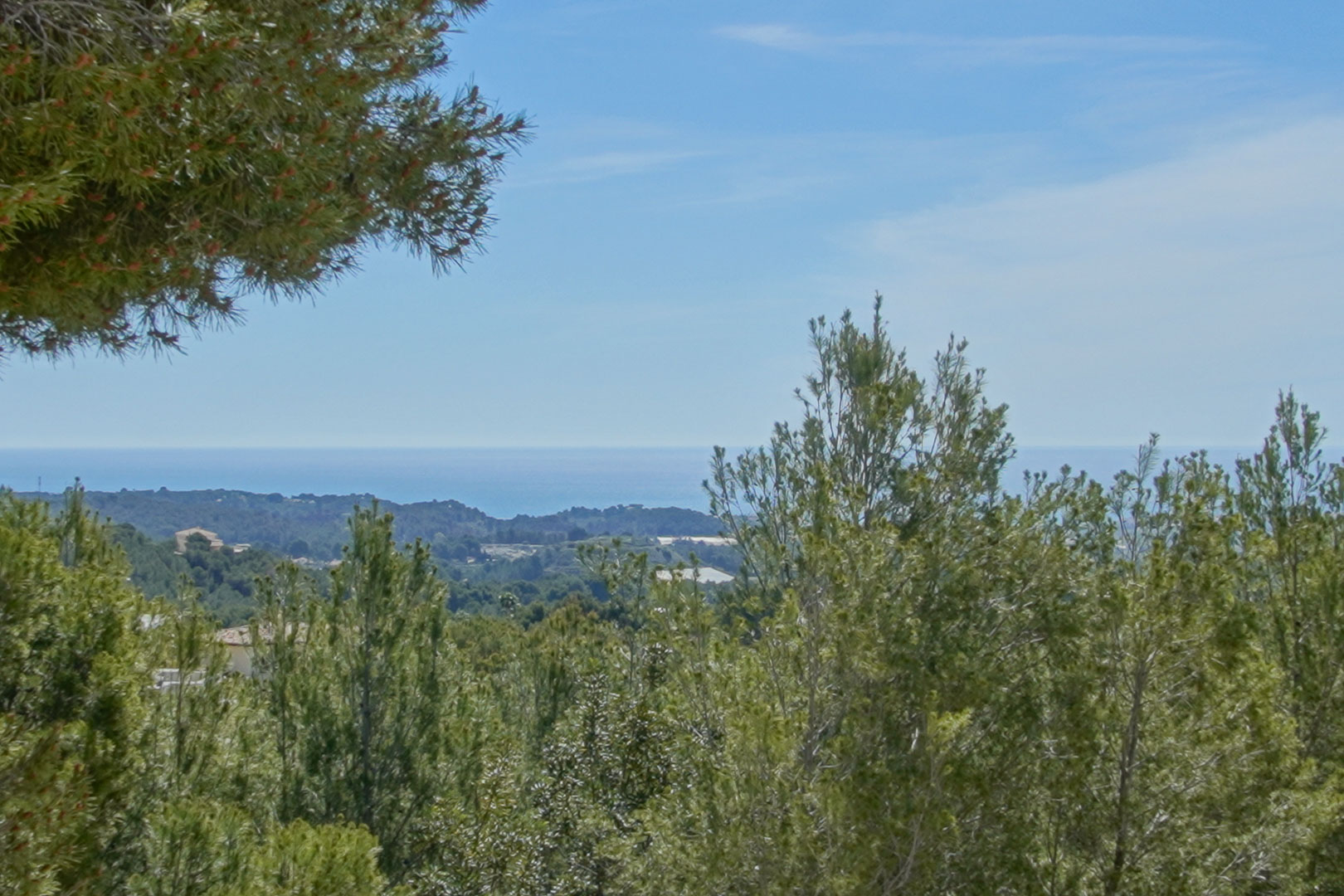 Vues dégagées sur la mer Méditerranée et le paysage naturel environnant, encadrées par la végétation de pins luxuriante typique de la région d'Altea.