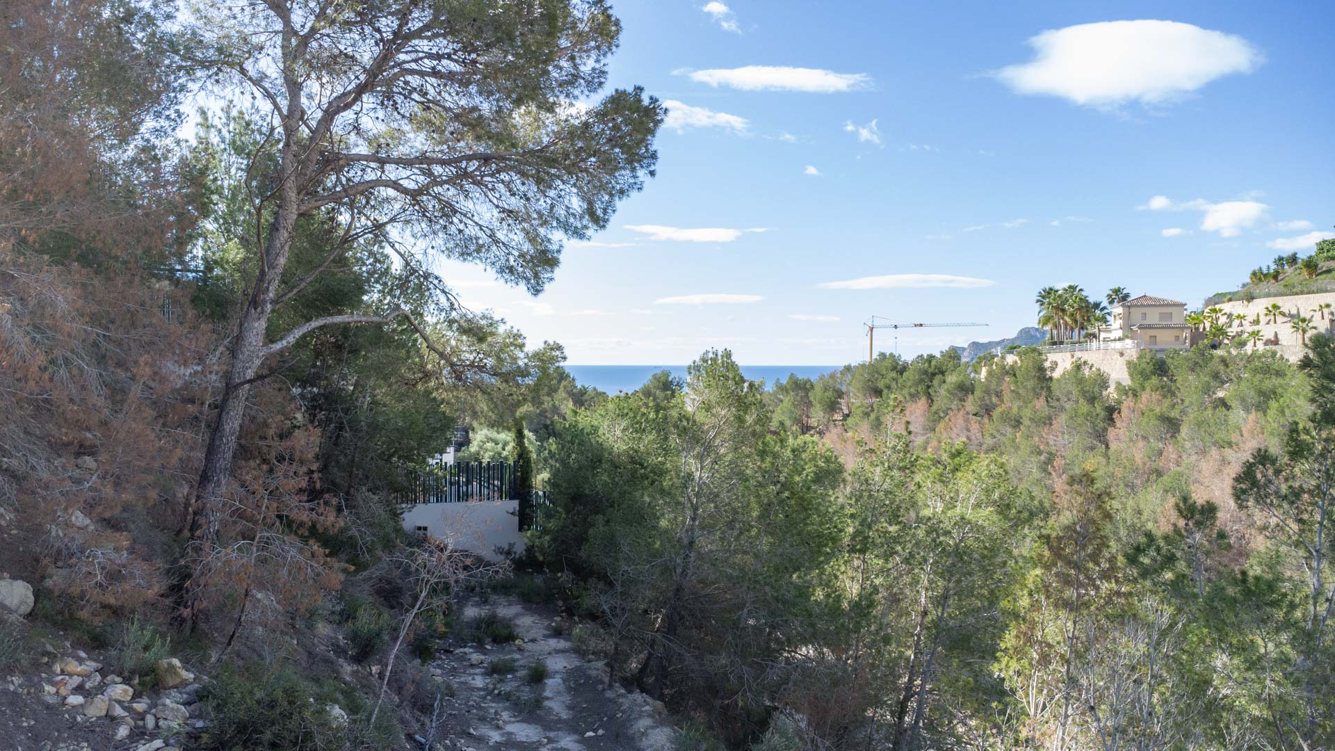 Vue panoramique sur la mer Méditerranée depuis le terrain en pente, entouré de pins et d'une végétation préservée à Raco de Galeno.