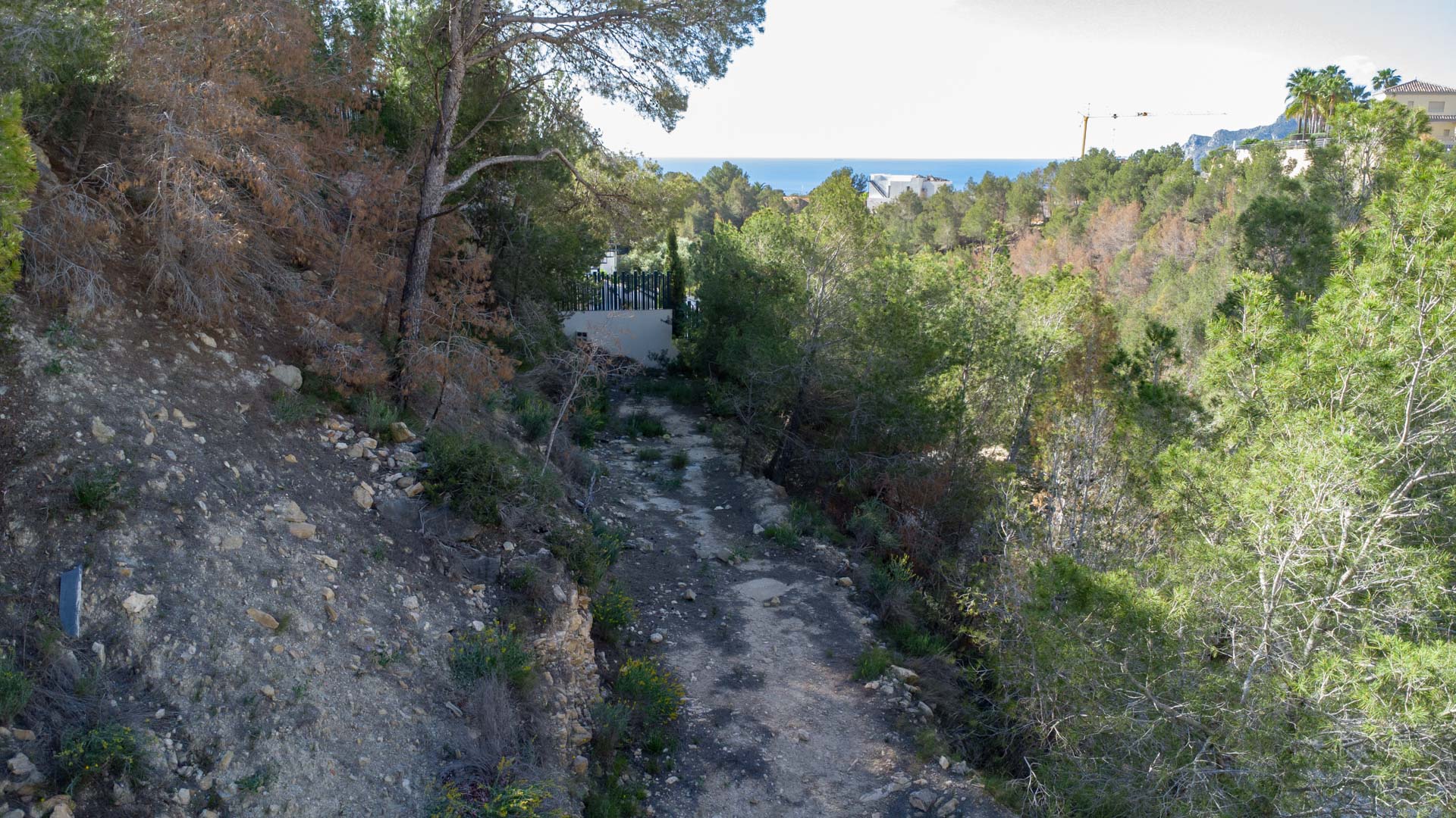 Vue surélevée du terrain à bâtir à Raco de Galeno, présentant une topographie naturelle avec des pins et une vue sur la mer Méditerranée.