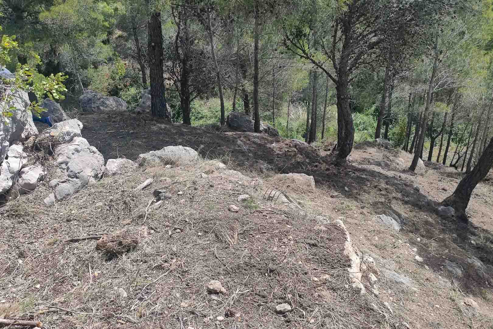 Terrain naturel en pente avec des pins méditerranéens et des roches locales sur la parcelle spacieuse de la villa.
