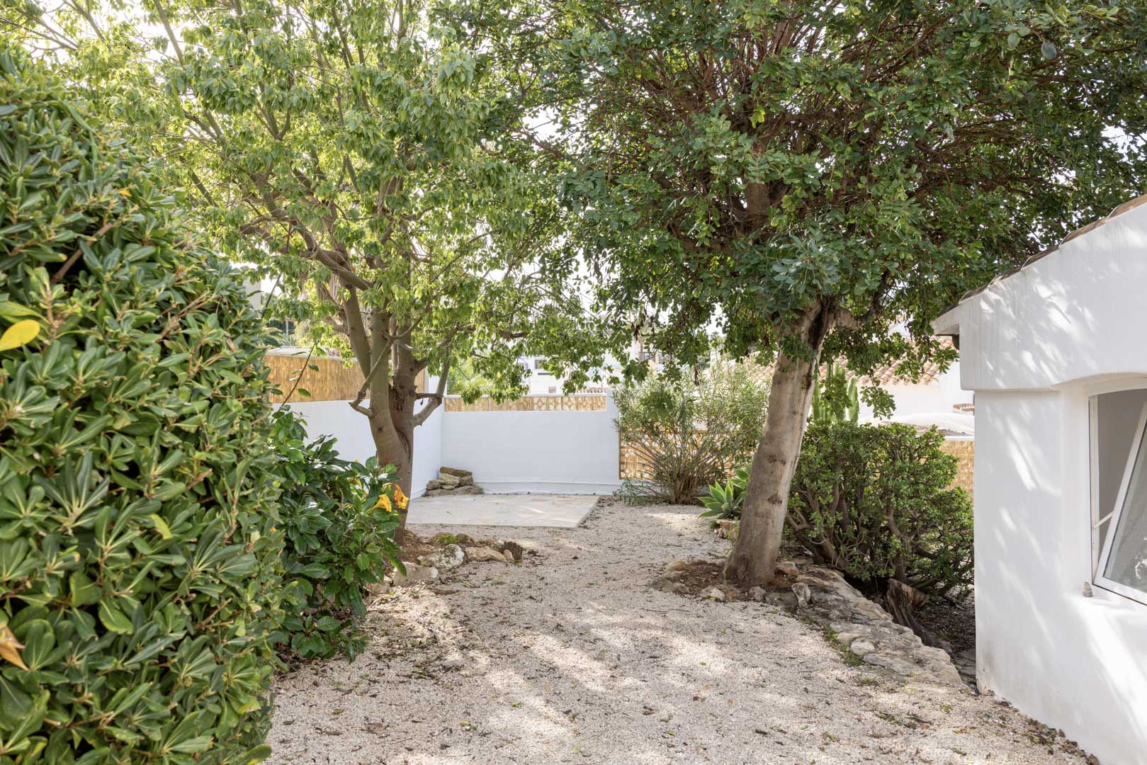 Jardin de gravier avec verdure variée et arbres matures. Un espace tranquille avec un mur blanc en arrière-plan.