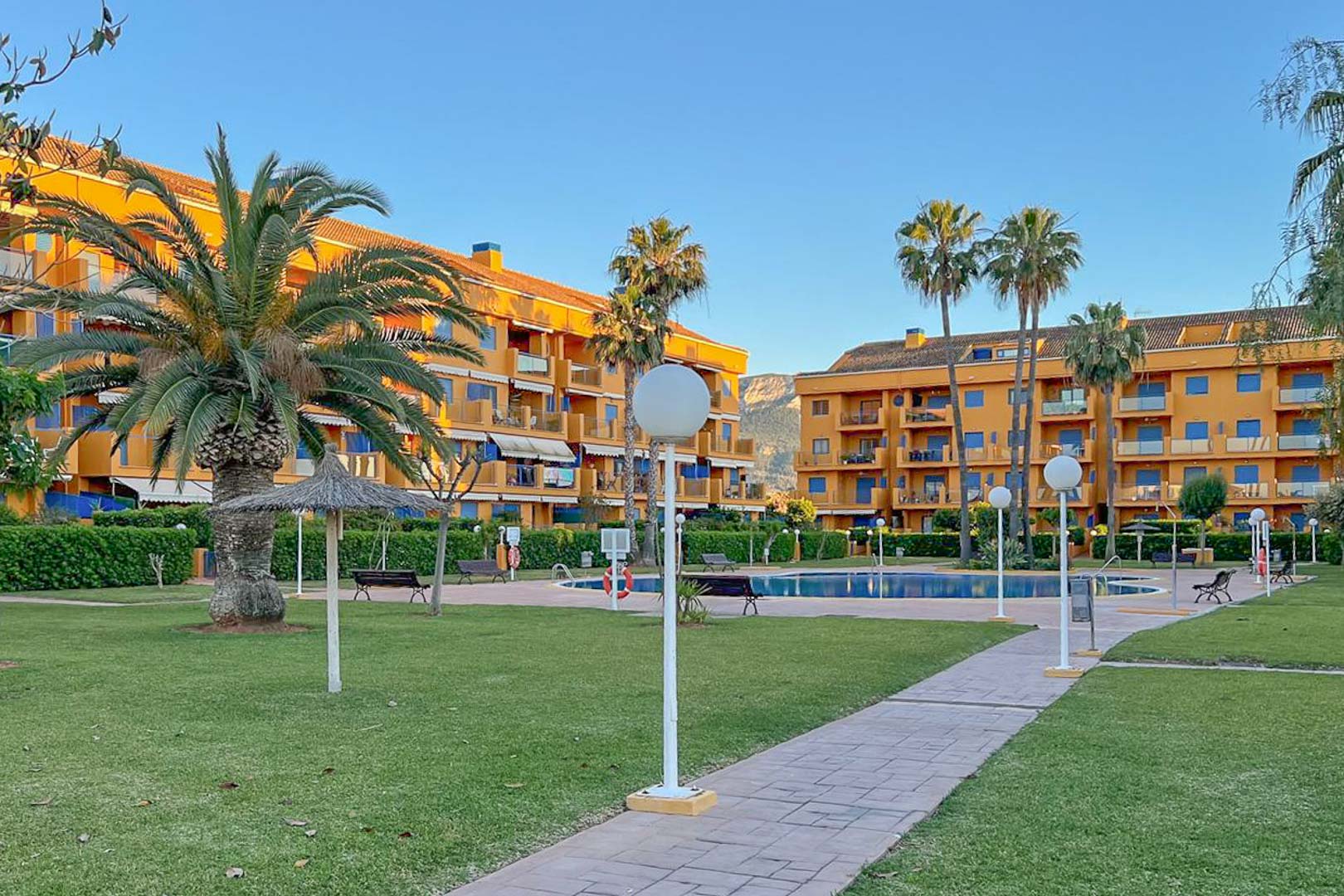 Vue sur le jardin commun avec piscine, palmiers et immeubles résidentiels à Dénia.