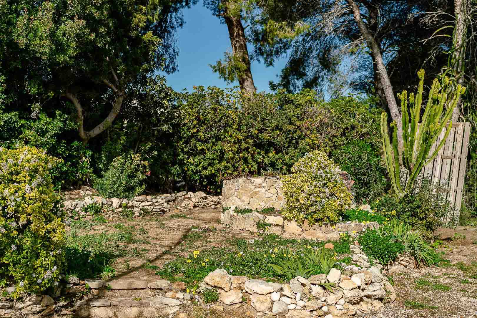 Jardin rustique avec murets en pierre sèche, végétation méditerranéenne et un puits décoratif central entouré de pins et d'arbustes variés.