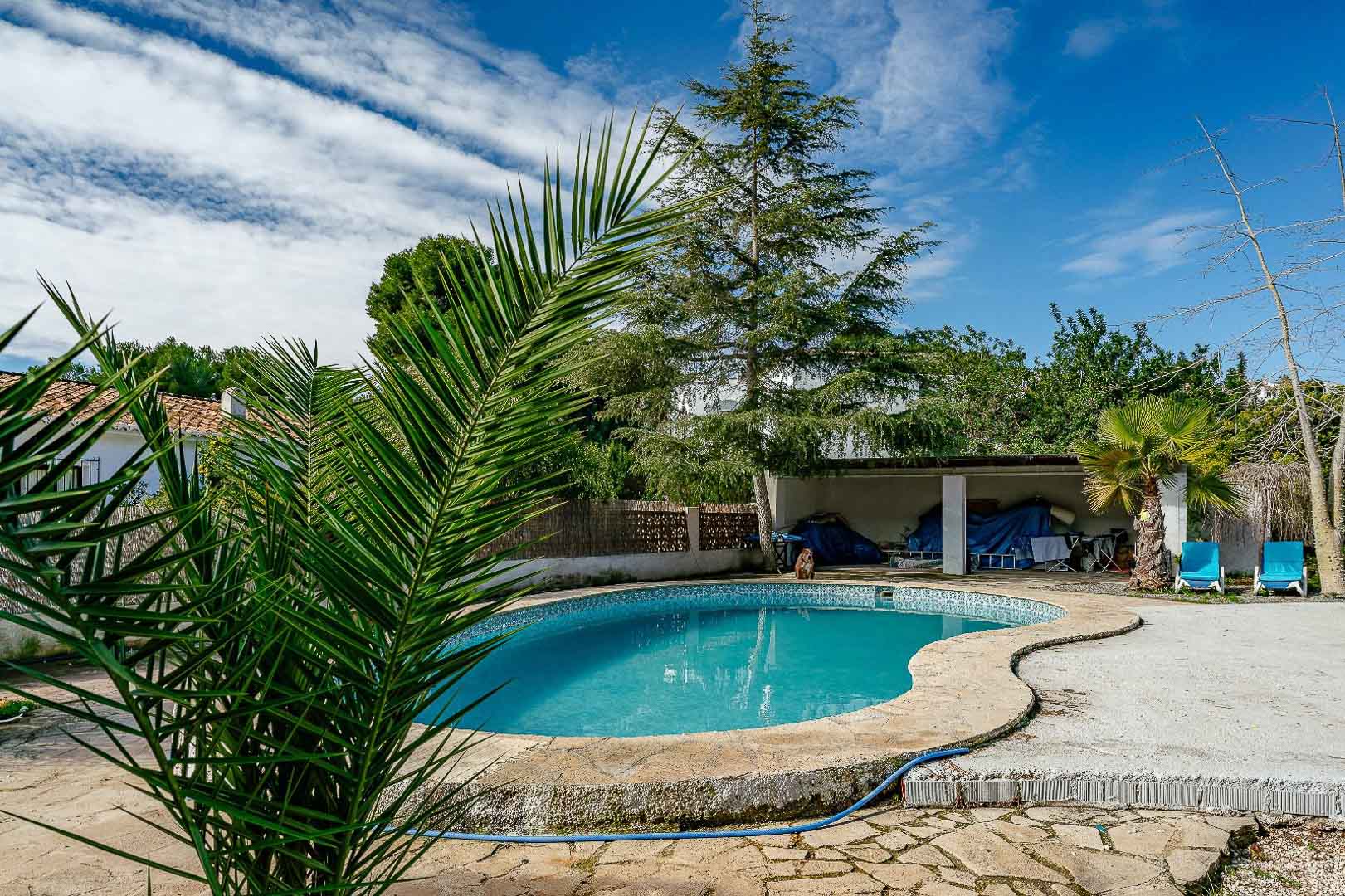 Piscine privée de forme haricot entourée d'une terrasse en pierre, de palmiers et d'une végétation méditerranéenne luxuriante avec un espace couvert au second plan.
