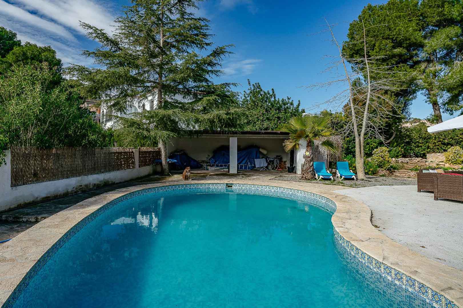 Piscine privée de forme libre avec bordure en pierre naturelle, entourée d'une terrasse spacieuse et d'une végétation méditerranéenne arborée.
