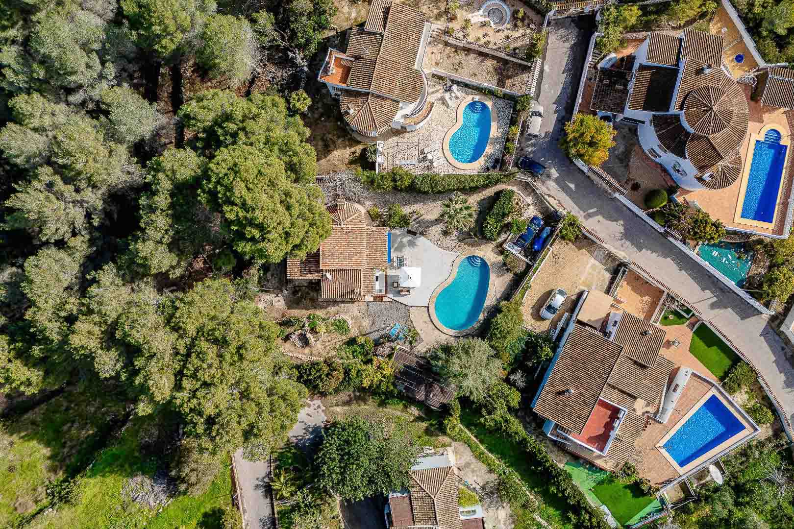 Vue aérienne du terrain avec sa végétation méditerranéenne, sa piscine privée en forme de rein et son architecture traditionnelle.