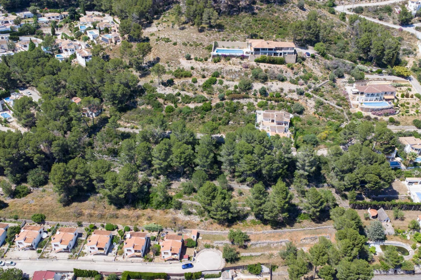 Vue aérienne des parcelles surélevées à Alcalalí, illustrant le terrain en terrasses entouré de pins méditerranéens et l'intégration dans le paysage naturel.