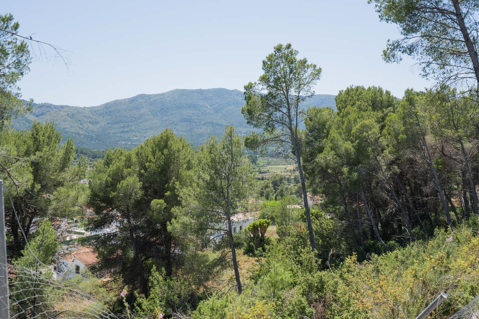 Vues panoramiques depuis les hauteurs d'Alcalalí, offrant un paysage naturel sur la vallée de Jalón avec ses pinèdes et ses montagnes environnantes.