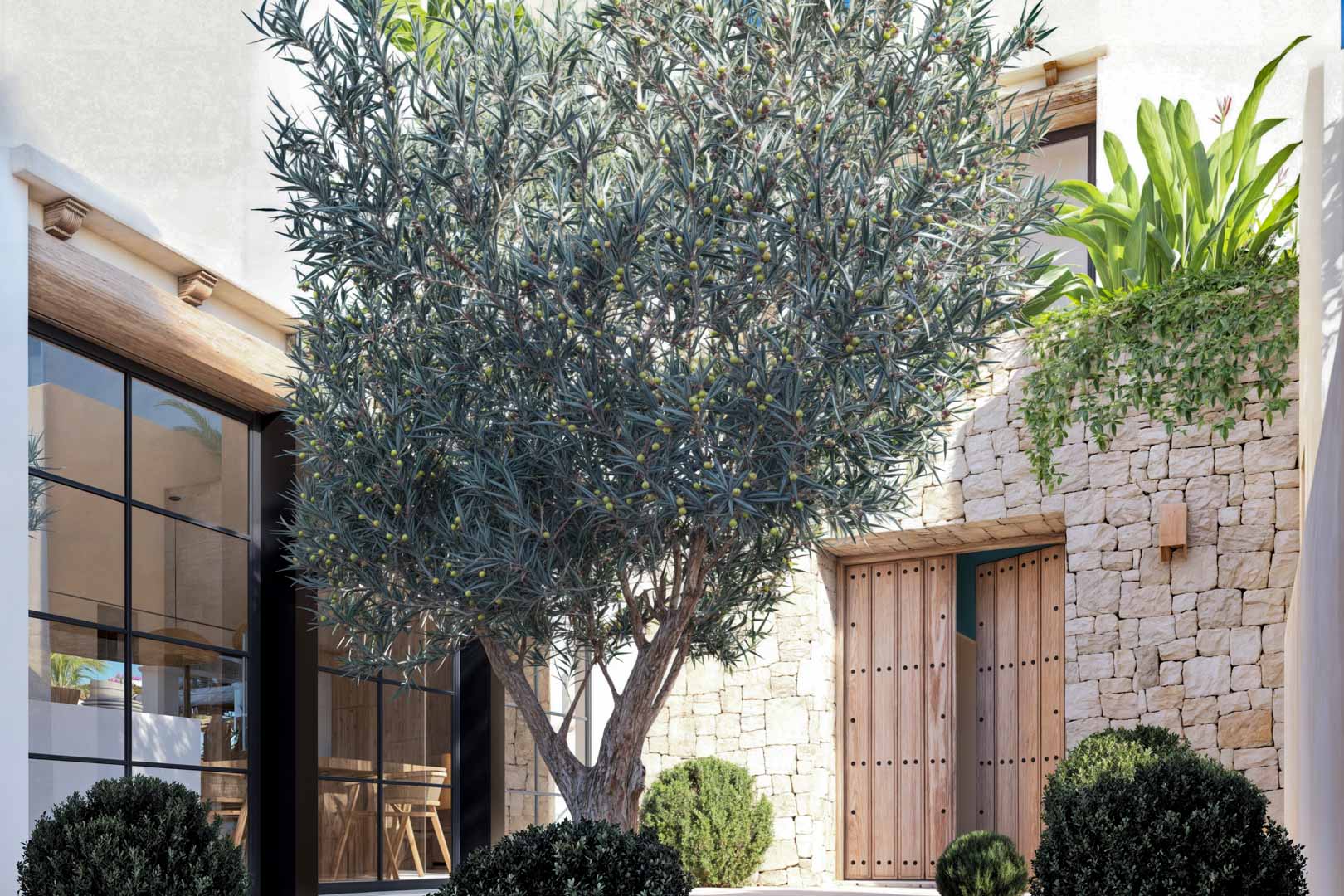 Détail de l'entrée avec porte en bois et jeune olivier dans le jardin.