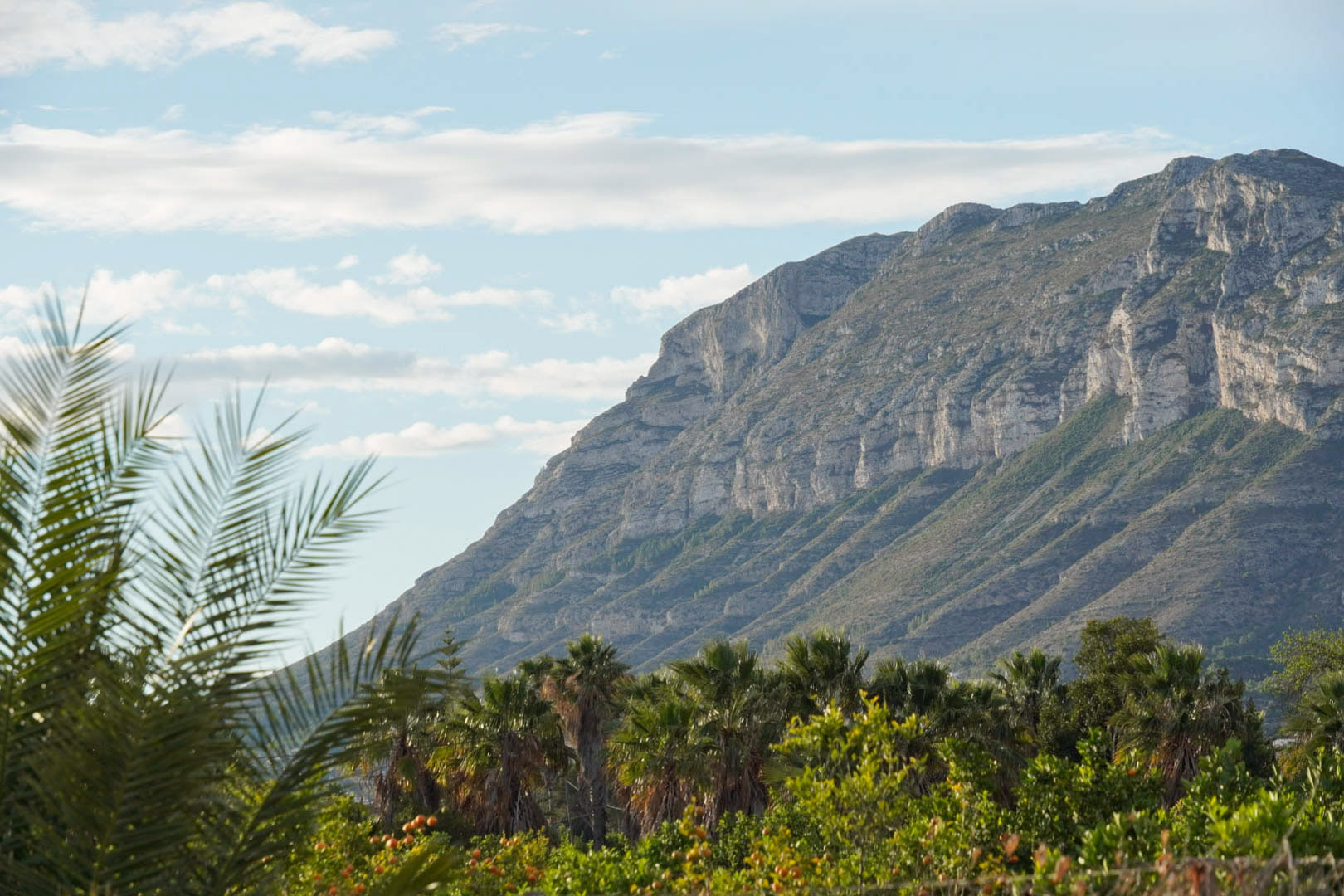Vue sur la montagne rocheuse depuis les jardins avec palmiers et arbres fruitiers.