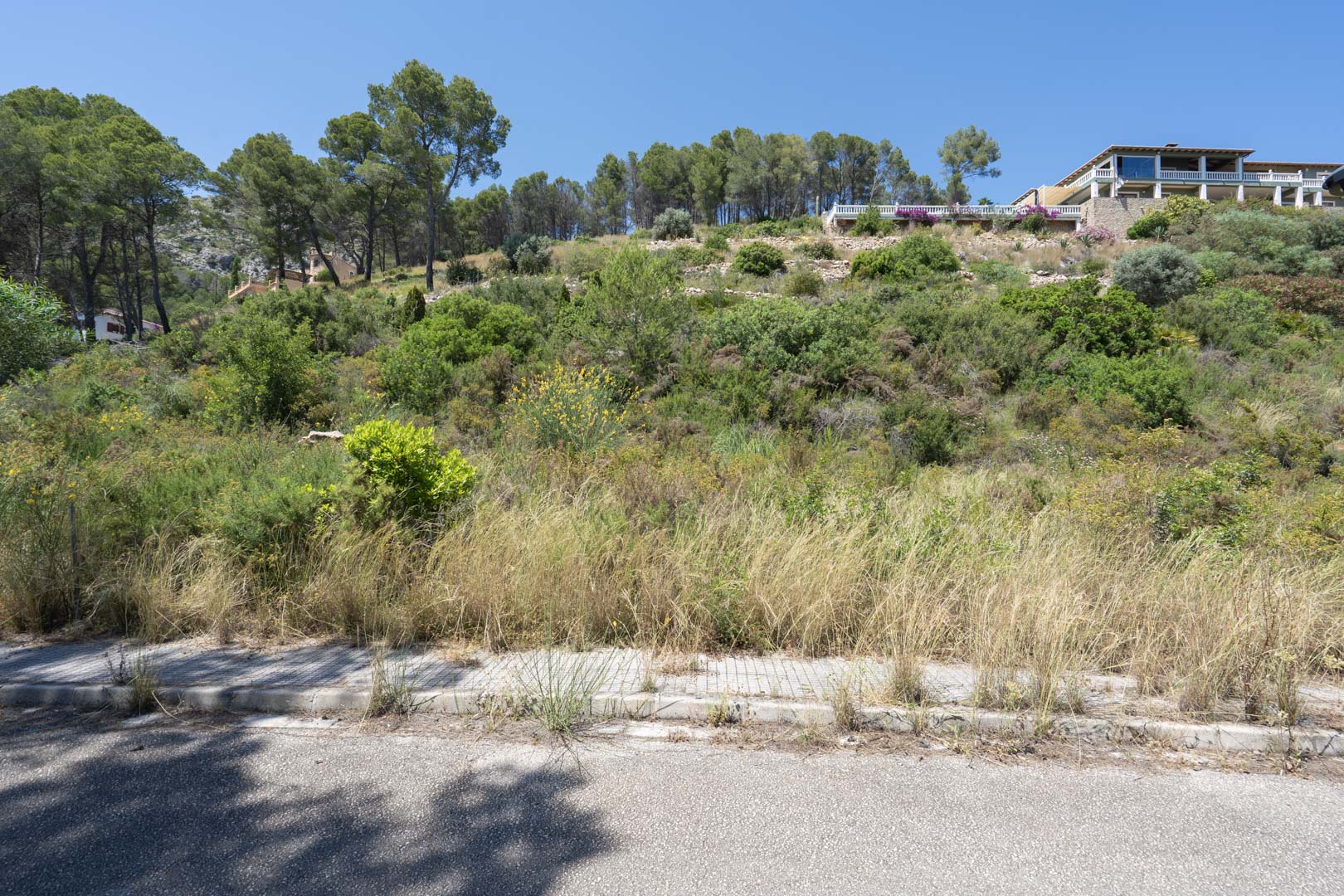 Terrain à bâtir surélevé à Alcalalí avec végétation méditerranéenne et accès pavé, situé sous des villas existantes offrant des vues dégagées.