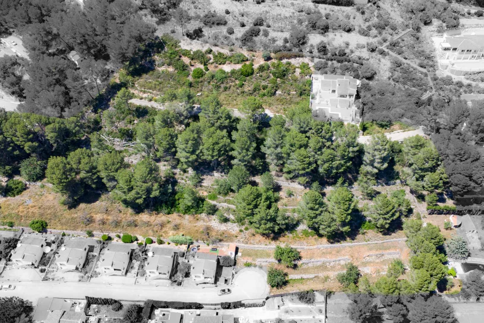 Vue aérienne des parcelles surélevées à Alcalalí, entourées de pins et de végétation méditerranéenne, offrant un cadre naturel et paisible.