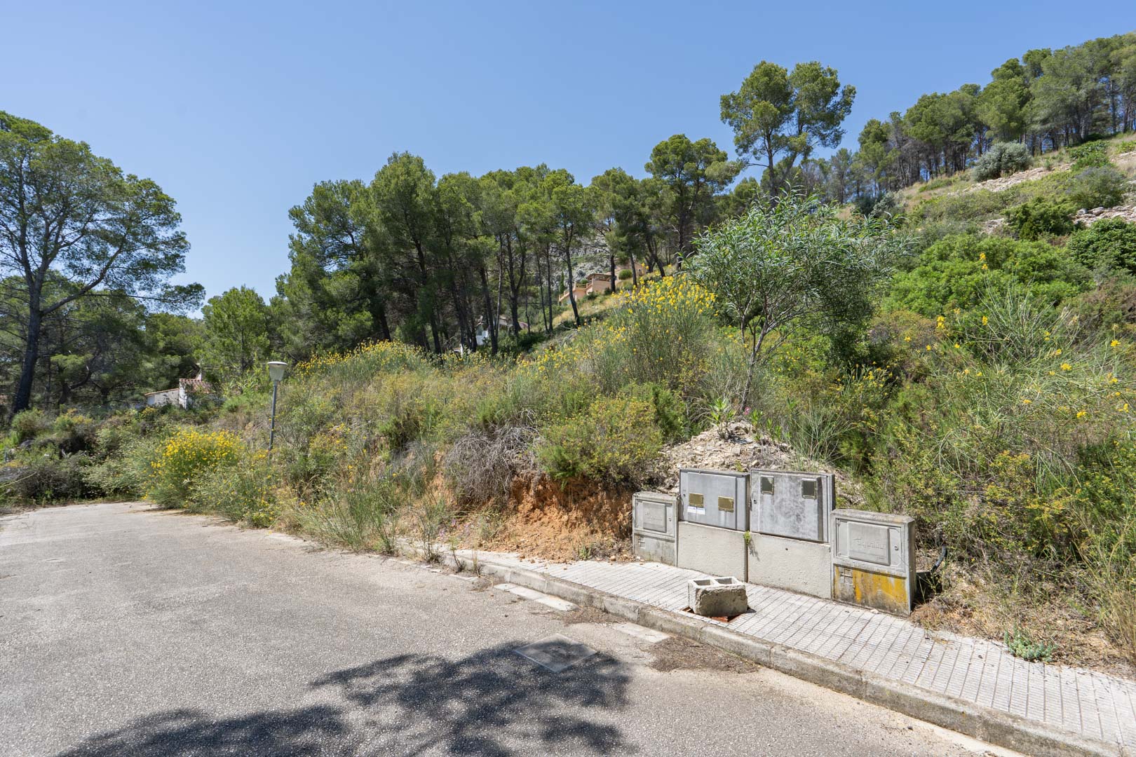 Vue d'un terrain à bâtir surélevé à Alcalalí, comprenant un accès routier pavé, des raccordements techniques et un environnement naturel boisé de pins.