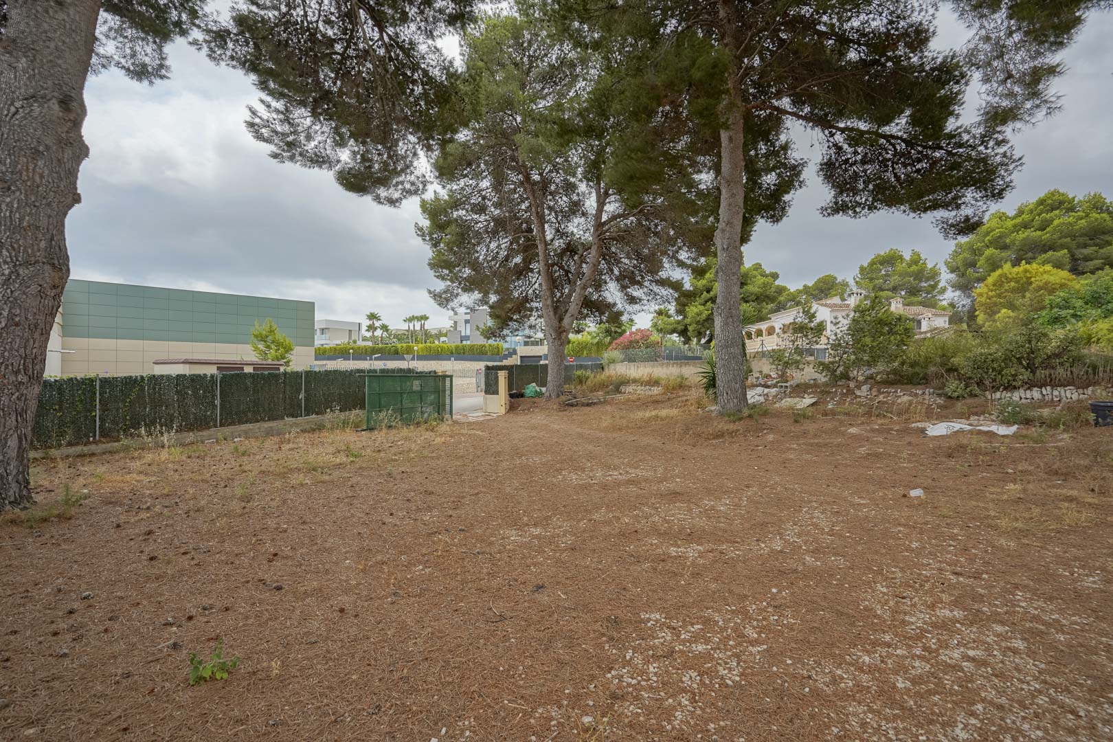 Terrain plat spacieux avec des pins matures et une clôture périmétrale, situé dans un quartier résidentiel établi à proximité des commodités locales.