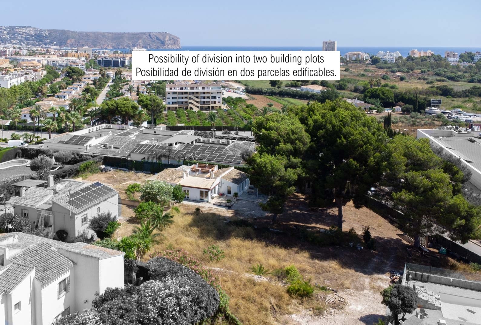 Vue aérienne du terrain de 2 600 m² avec villa existante, pins matures et vue dégagée vers la mer Méditerranée à Jávea.