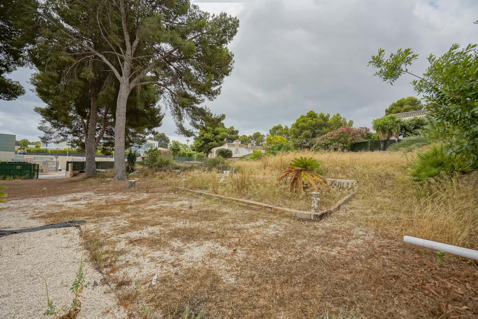 Vue d'ensemble du vaste terrain de 2 600 m2 avec des pins matures, illustrant le potentiel de division en deux parcelles constructibles à Jávea.
