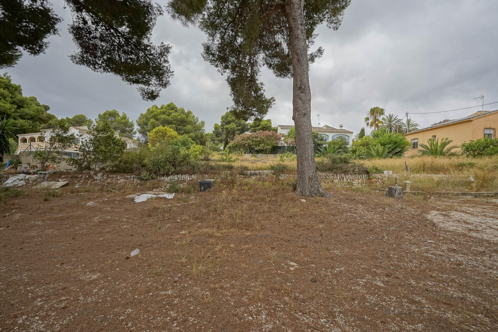 Vue du vaste terrain plat avec des pins matures, des murets en pierre naturelle et des habitations environnantes dans un quartier calme.