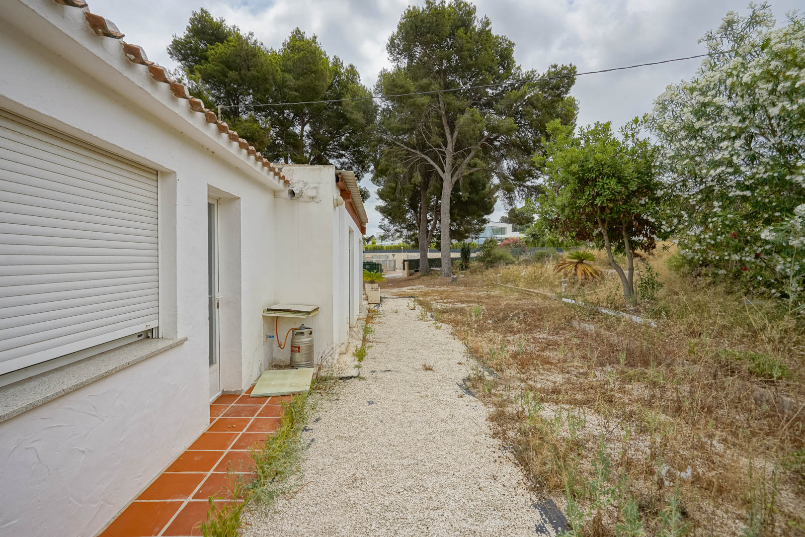 Vue extérieure de la villa actuelle avec façade blanche, volets roulants et chemin en gravier, située sur un vaste terrain arboré de pins.