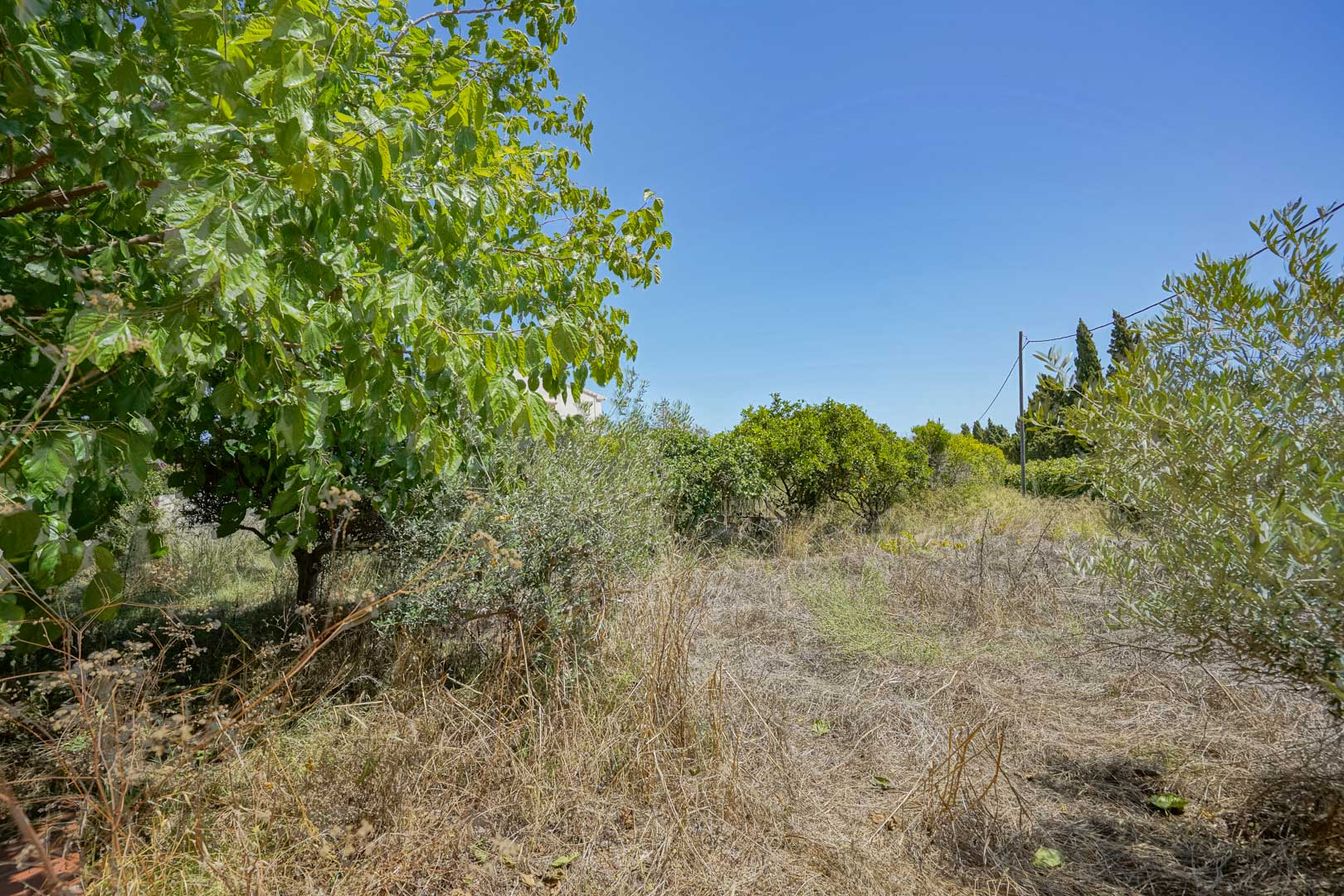 Villa rénovée à Jávea, Adsubia avec grand terrain plat