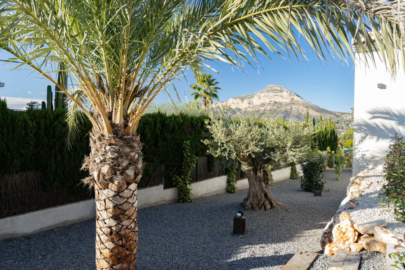 Jardin méditerranéen avec gravier, palmier et olivier, vue sur la montagne à Jávea.