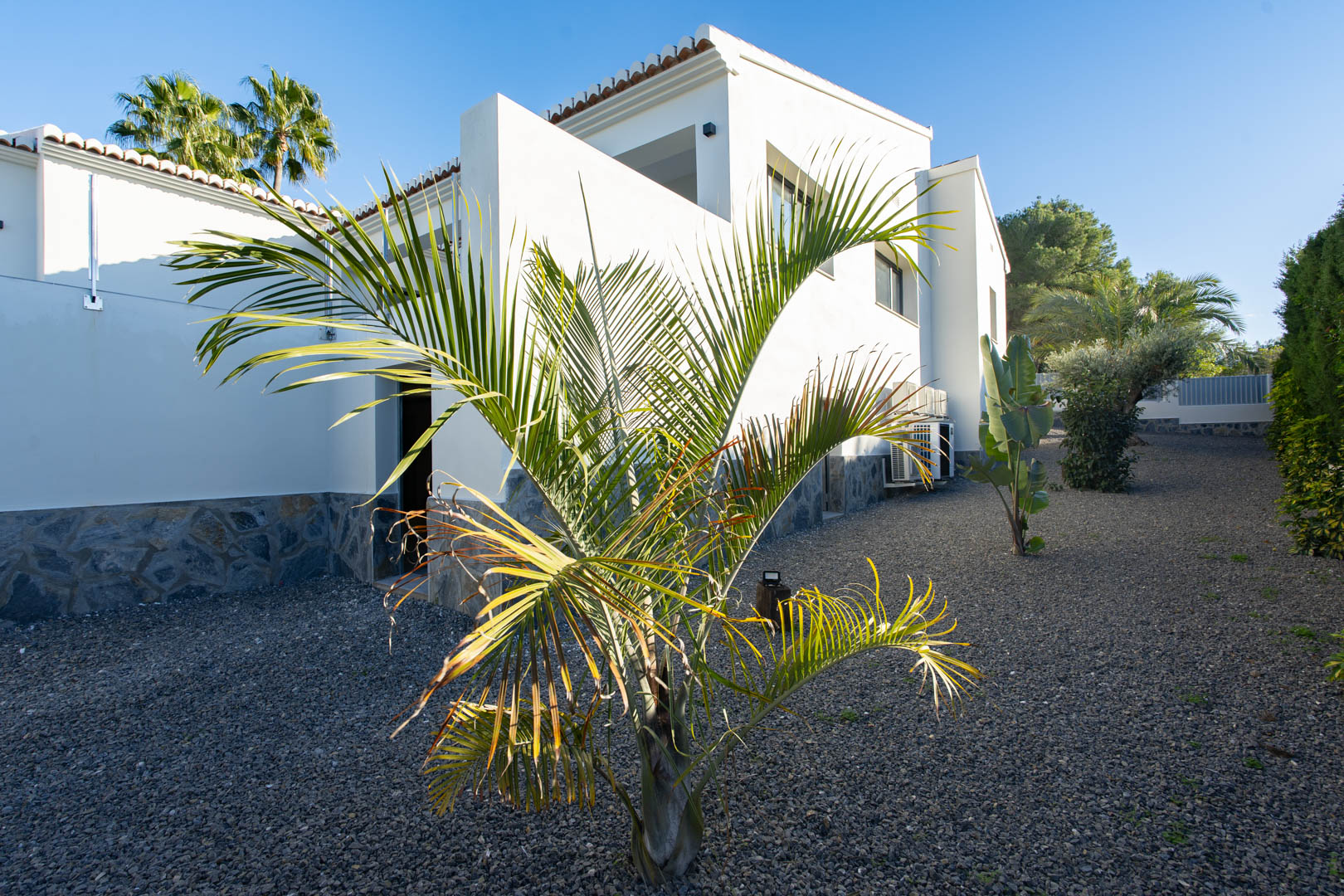 Vue extérieure de la villa avec aménagement paysager en gravier, base en pierre et jeune palmier.