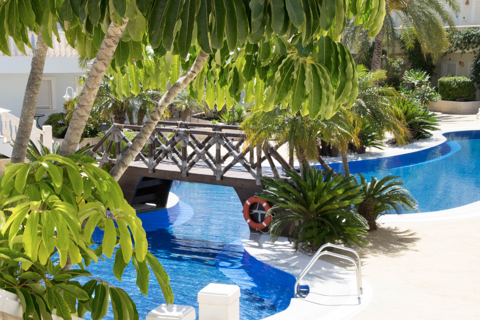 Piscine de style lagon avec un pont décoratif en bois, entourée de jardins méditerranéens luxuriants et de palmiers tropicaux.