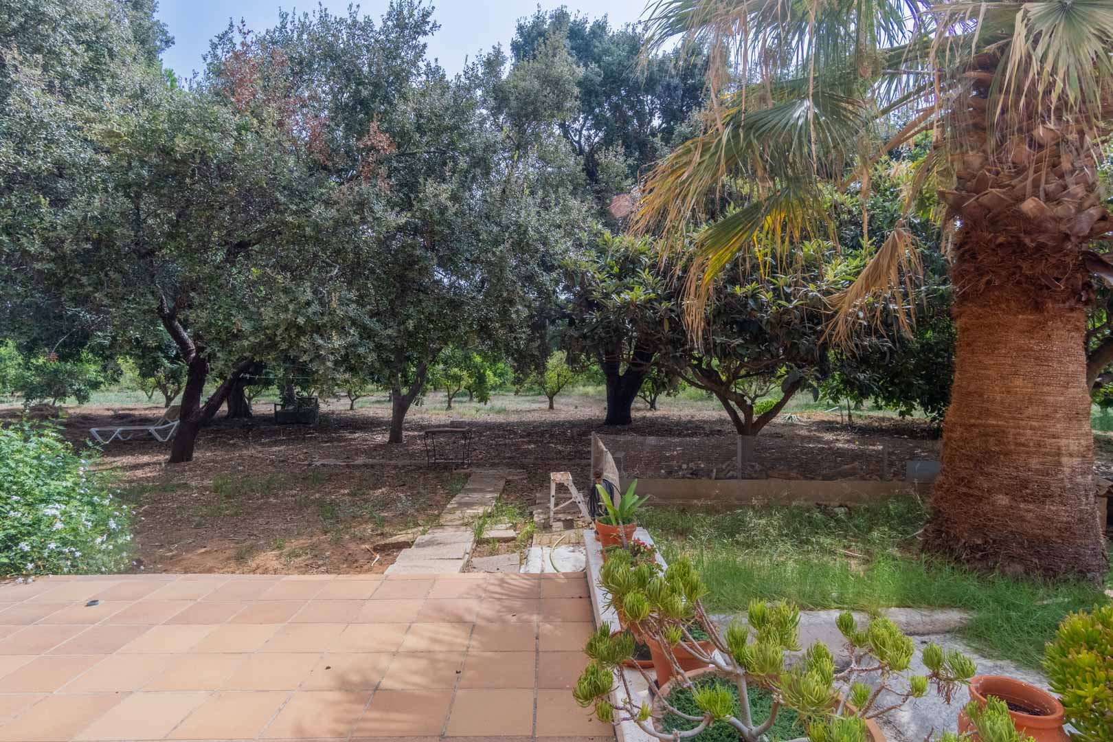 Terrasse en grès rustique s'ouvrant sur un vaste terrain arboré. Le jardin comprend des palmiers, des arbres fruitiers et un sentier en dalles de pierre.