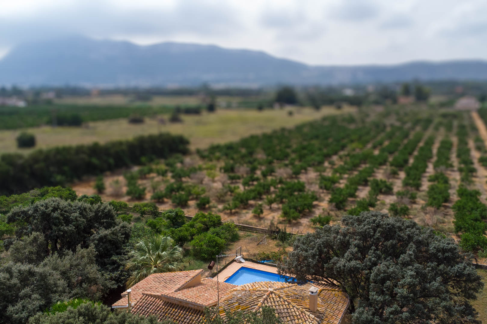 Vue aérienne montrant la piscine privée et le toit en tuiles, entourés de vastes vergers avec une vue dégagée sur les montagnes environnantes.