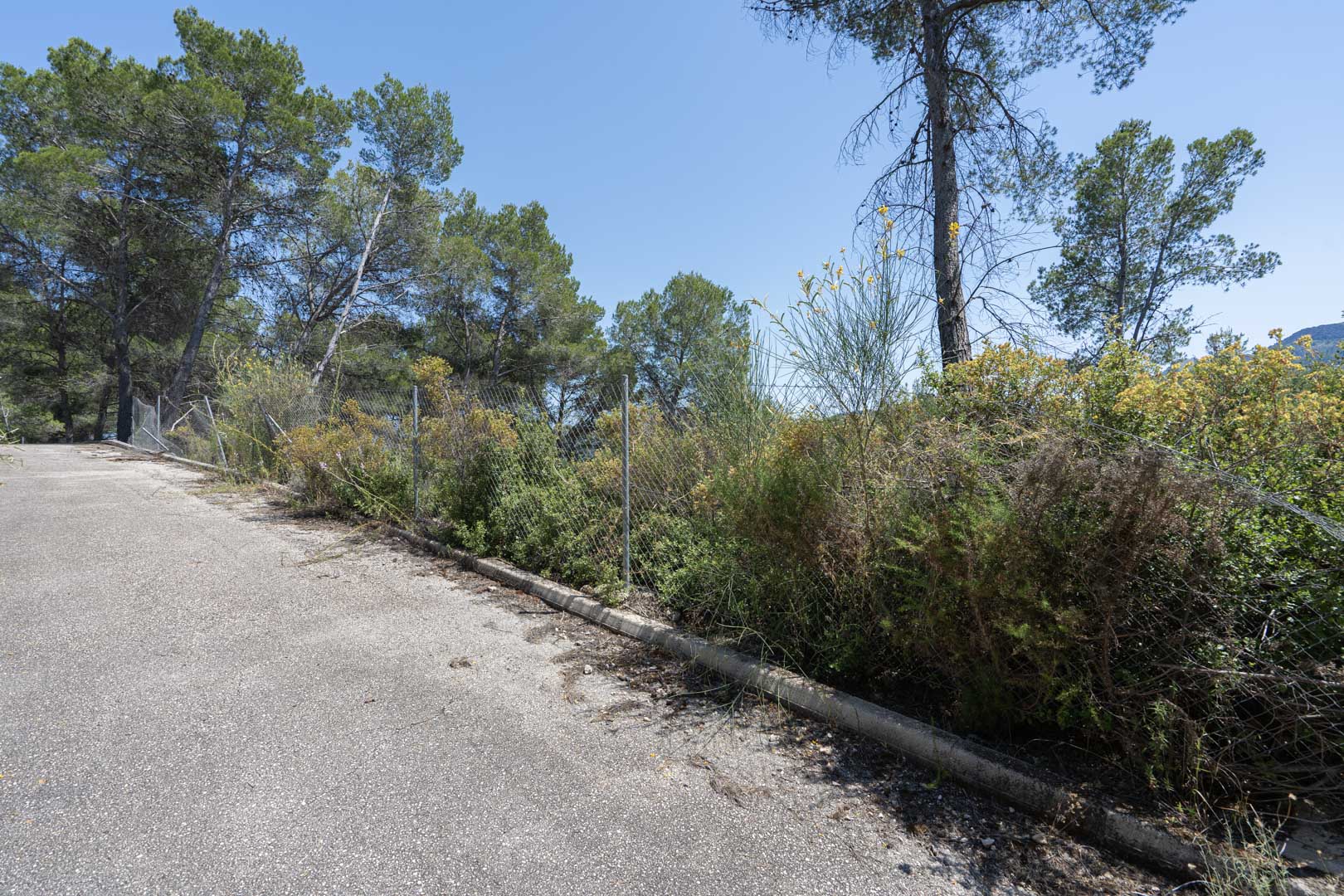 Chemin d'accès pavé aux parcelles du Residencial VALL DE POP, bordé d'une clôture grillagée et d'une végétation méditerranéenne préservée avec des pins.