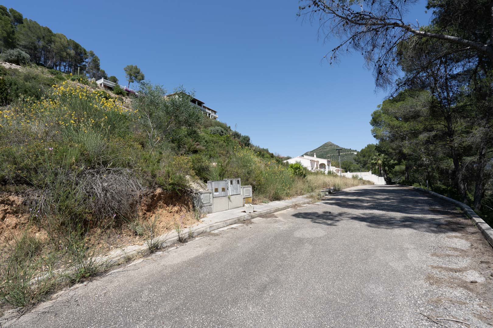 Route d'accès goudronnée menant aux parcelles surélevées à Alcalalí, entourée de végétation locale et équipée de bornes de raccordement aux réseaux.