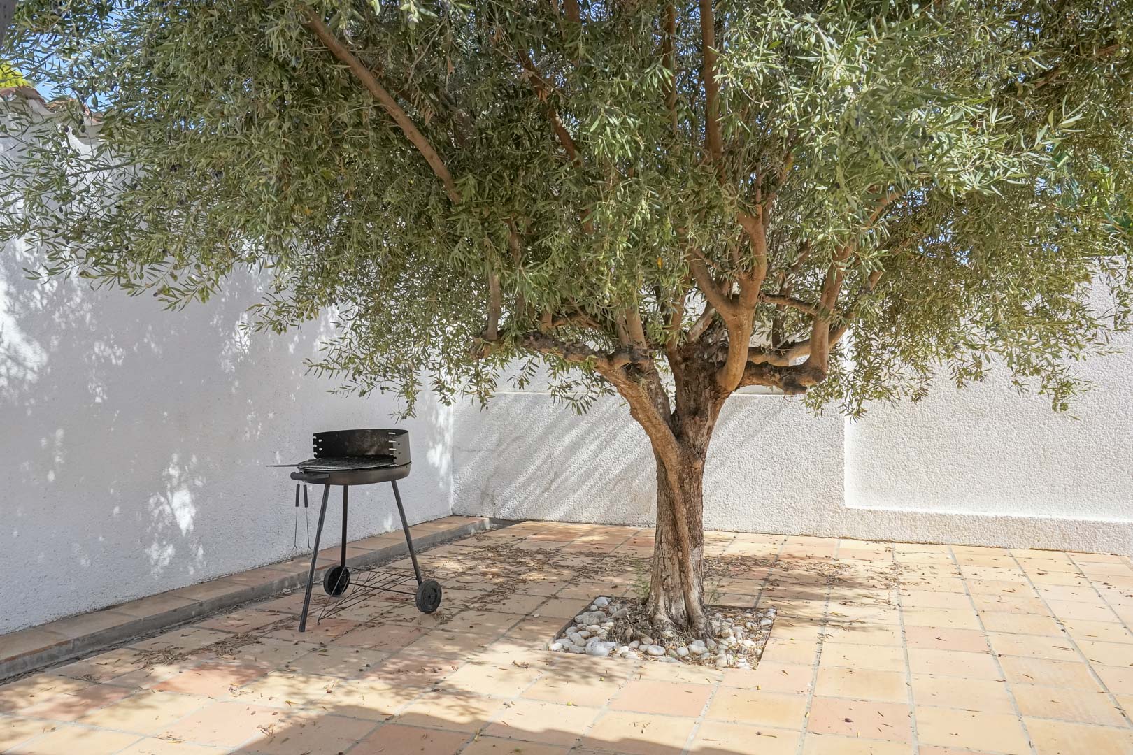 Coin ombragé dans le jardin méditerranéen avec un olivier mature, un sol en terre cuite et un barbecue portable devant des murs blancs texturés.