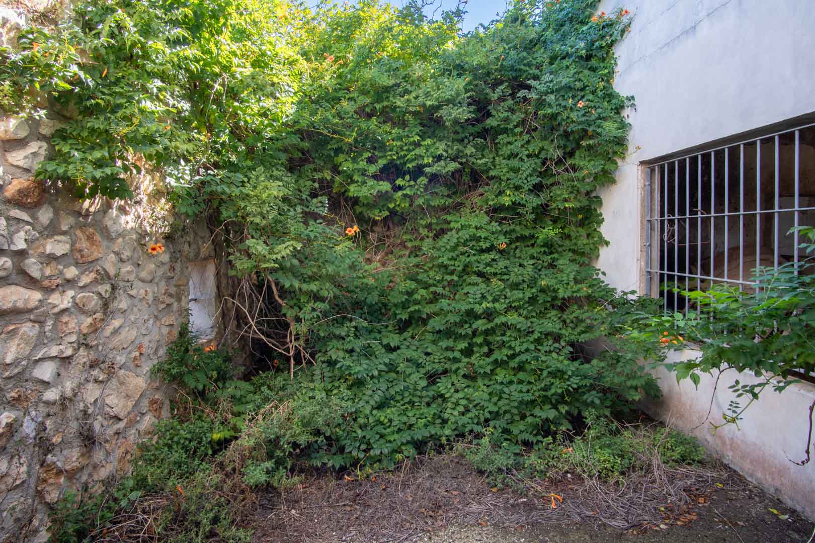 Façade extérieure alliant murs en pierre naturelle et crépi blanc, agrémentée d'une fenêtre grillagée et d'une végétation grimpante dense.
