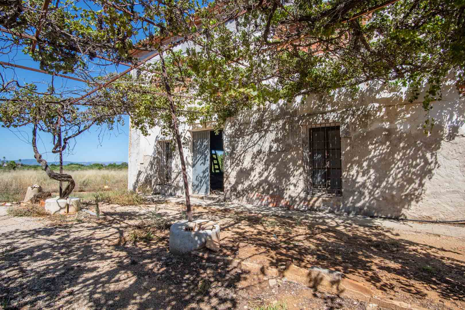 Façade rustique avec une pergola de vigne naturelle ombrageant l'entrée, mettant en valeur les murs blancs et les fenêtres à barreaux traditionnels.