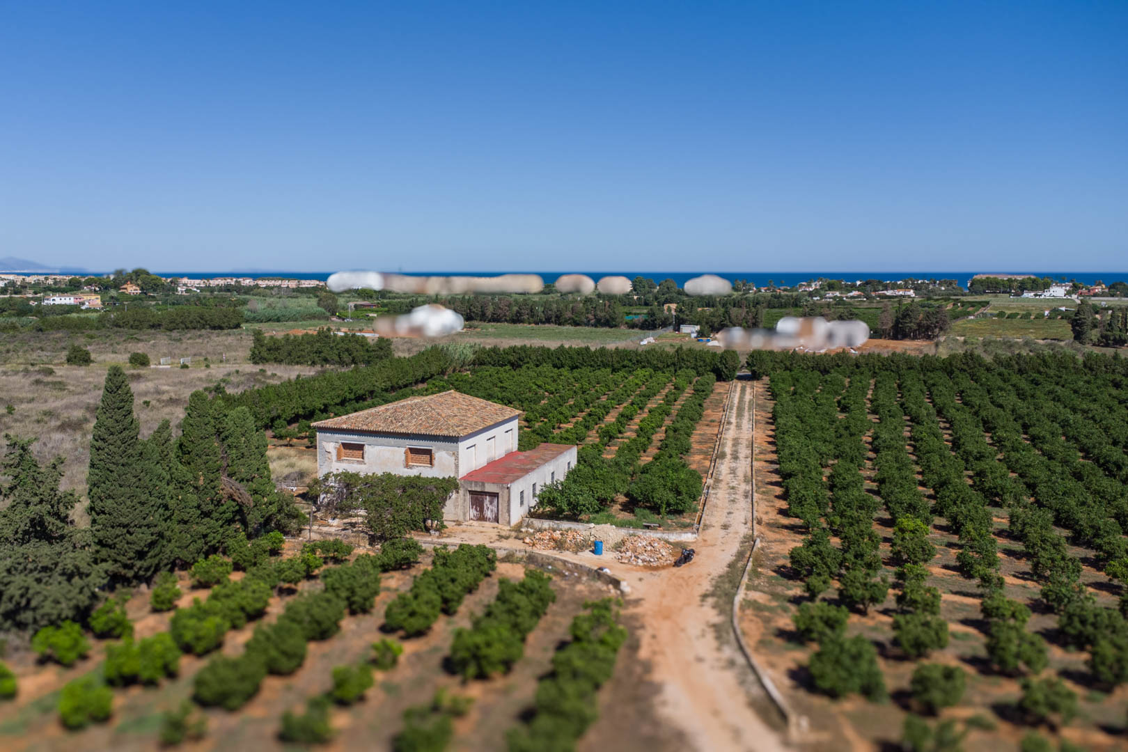 Vue aérienne de la maison de campagne entourée de vastes vergers d'agrumes, avec la mer Méditerranée à l'horizon et un chemin d'accès privé.