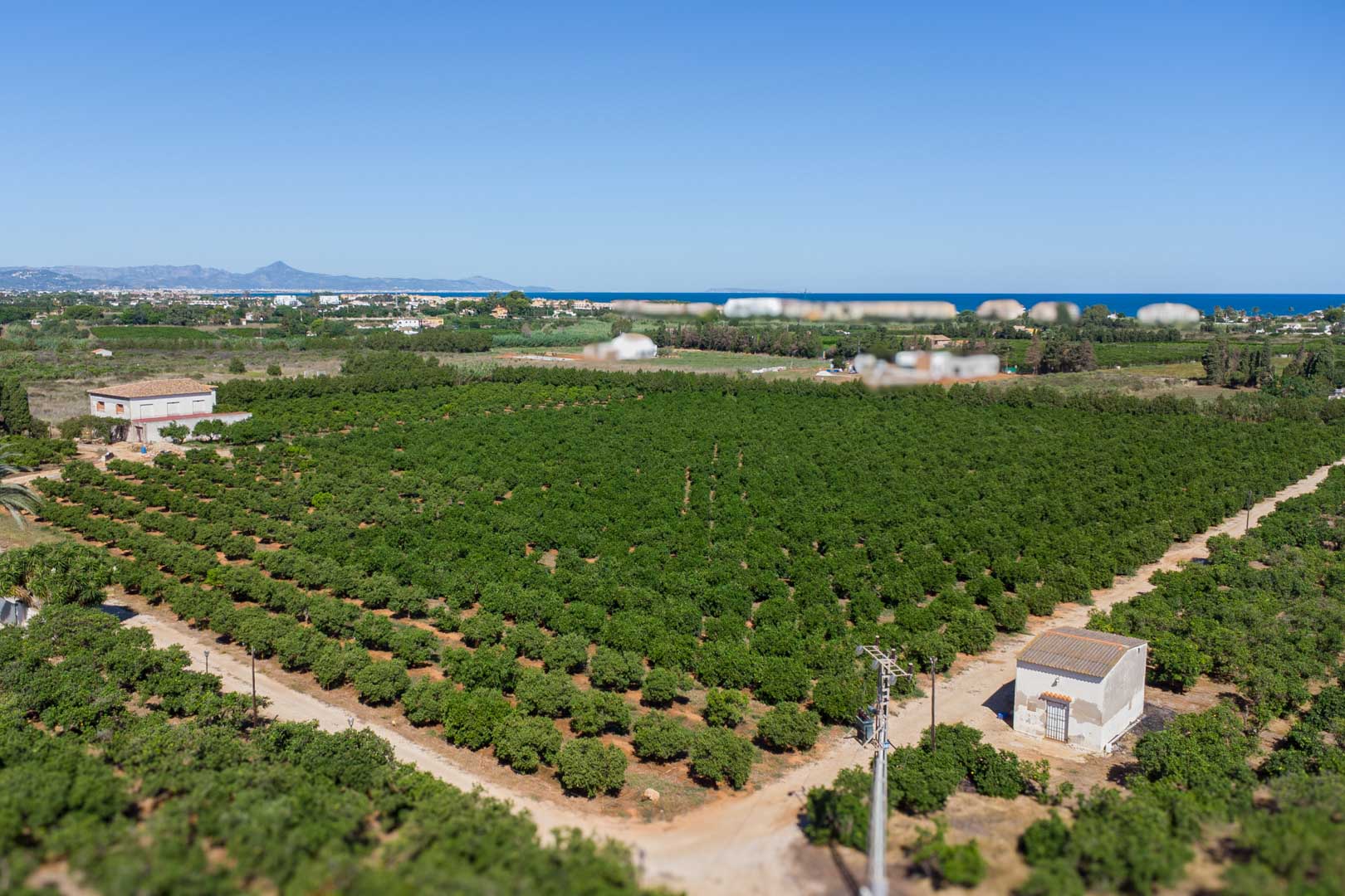 Vue aérienne de la vaste parcelle agricole avec ses orangeraies, incluant la maison de campagne et la mer Méditerranée à l'horizon de Dénia.