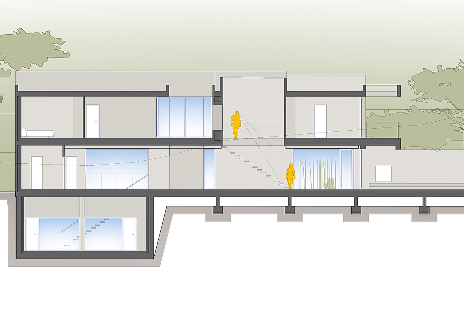 Coupe architecturale de l'avant-projet montrant la distribution sur trois niveaux, avec sous-sol, grandes baies vitrées et escaliers intérieurs.