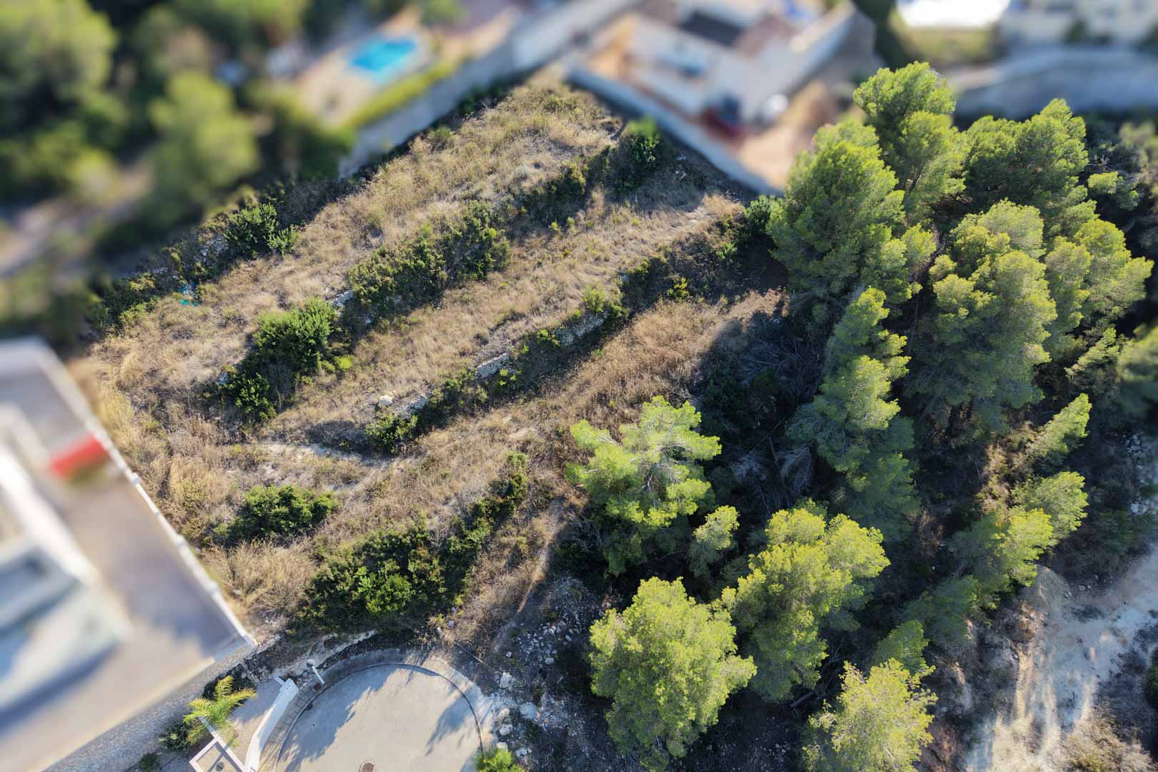 Vue aérienne du terrain urbain en terrasses avec murets en pierre, pins méditerranéens et végétation locale dans un quartier résidentiel calme de Moraira.