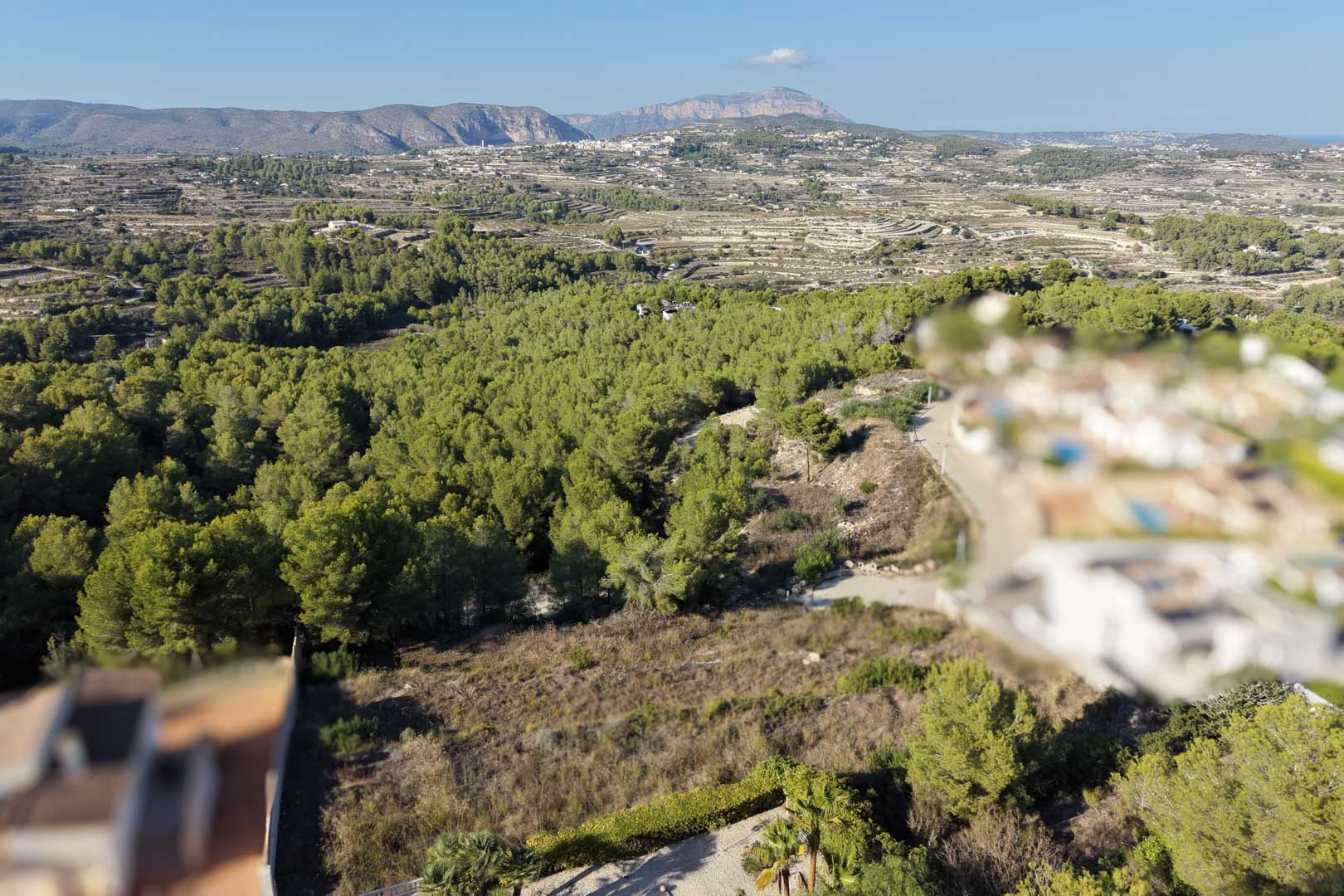 Vue surélevée depuis le terrain sur une forêt de pins et des chaînes de montagnes. Le paysage se compose de terrasses méditerranéennes sous un ciel dégagé.